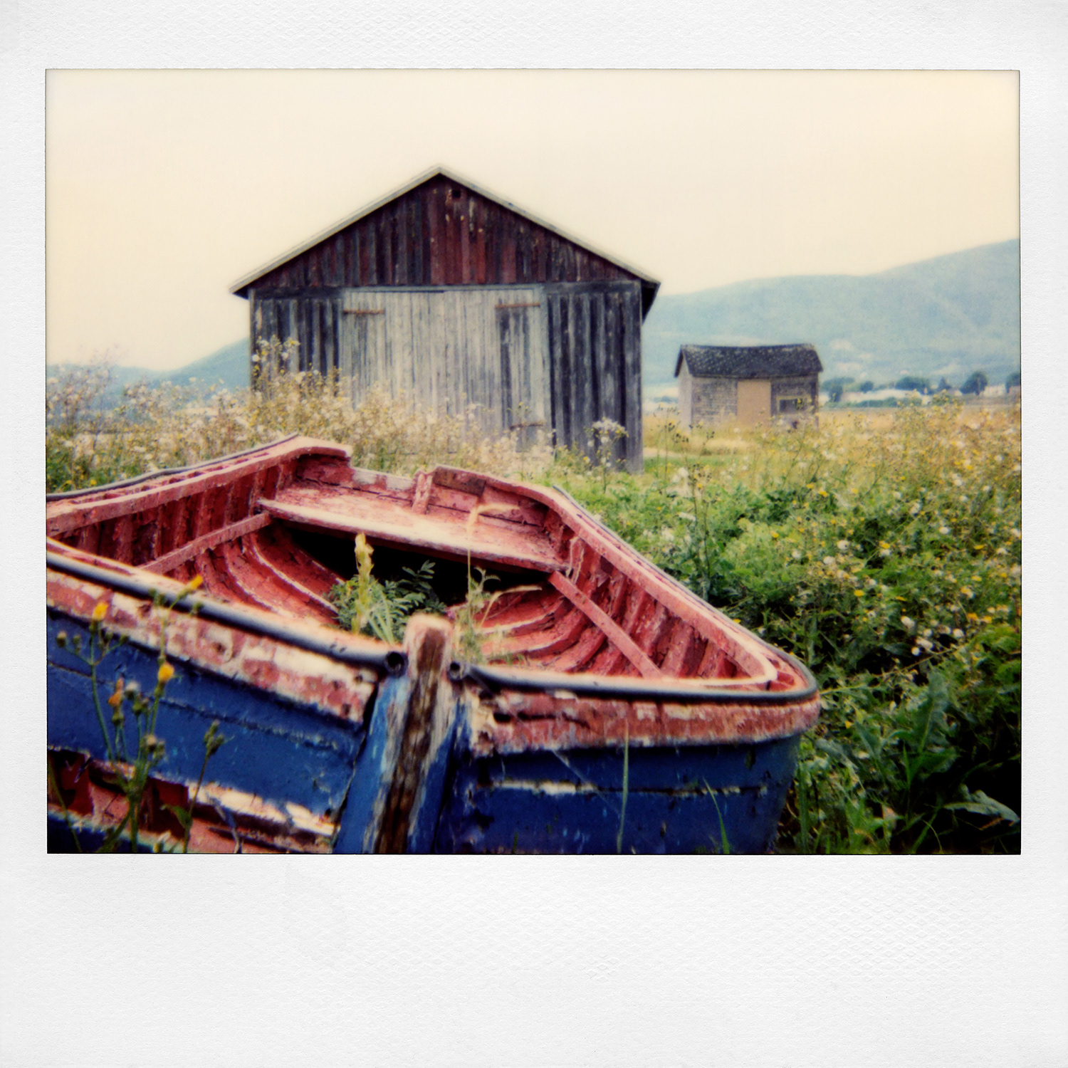 Cabane à Eudore | 2006