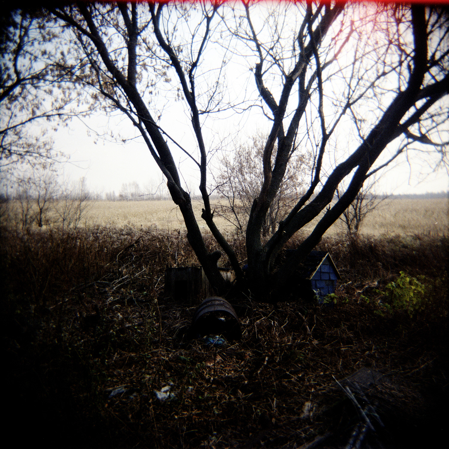 Human less no. 02