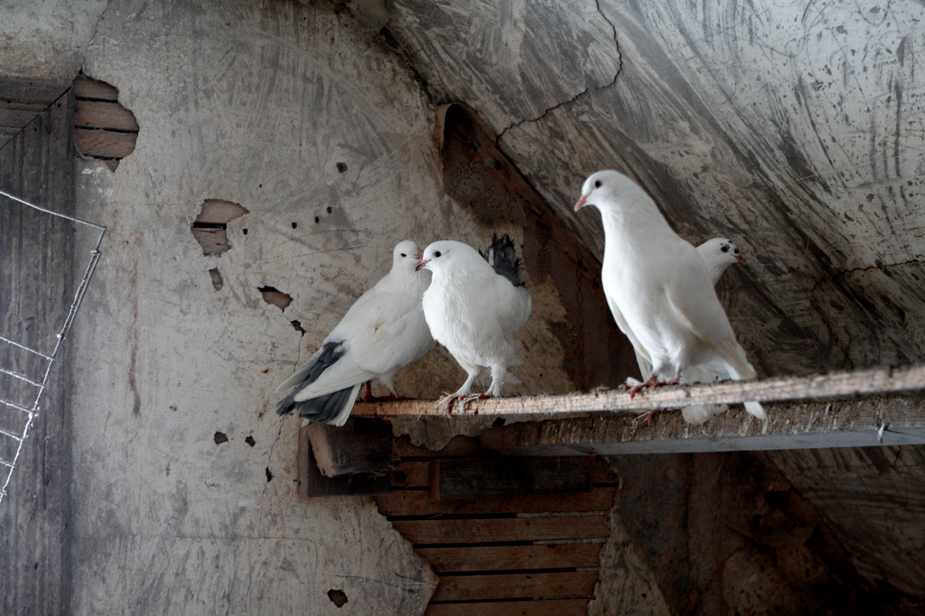 Maison no. 46, Intérieur no. 02, Gaspésie human less I, 2010 | 16x24po. | Édition 002/005 + 1 E.A. | Encadré, verre standard | 1500 $