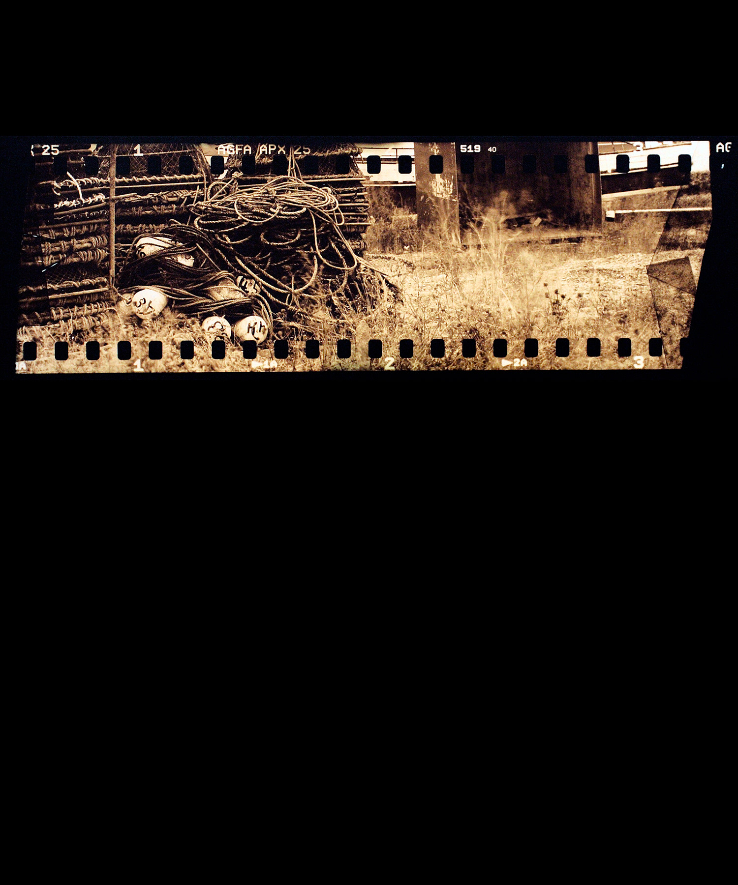 Matane | 2005