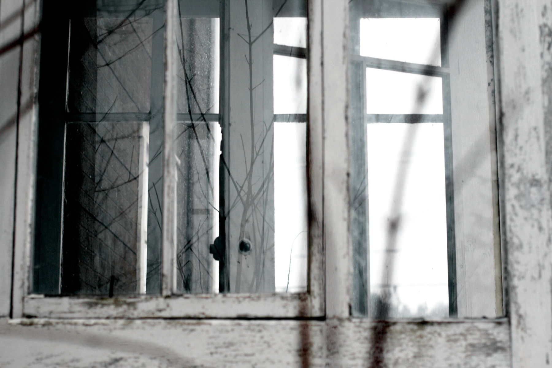 Réflexion no. 01, Gaspésie human less I, 2010 | 16x24po. | Édition 001/005 + 1 E.A. | Encadré, verre standard | 1500 $