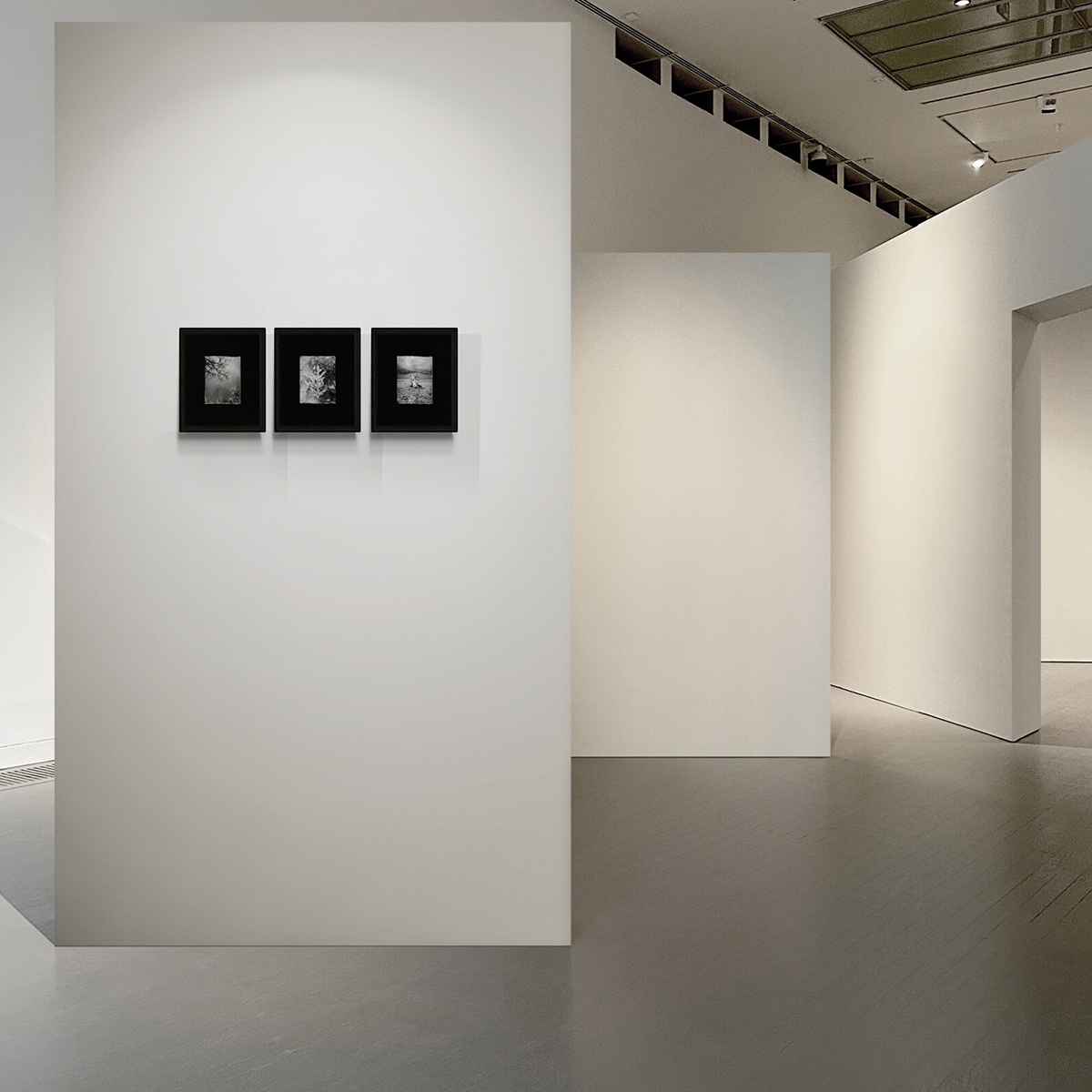 Tintype  no. 2019-10-26 / no. 2019-12-29 / no. 2020-08-18  | 8x10po. | Édition 001/001 + 1 E.A. | Encadré, impression aluminium | 400 $