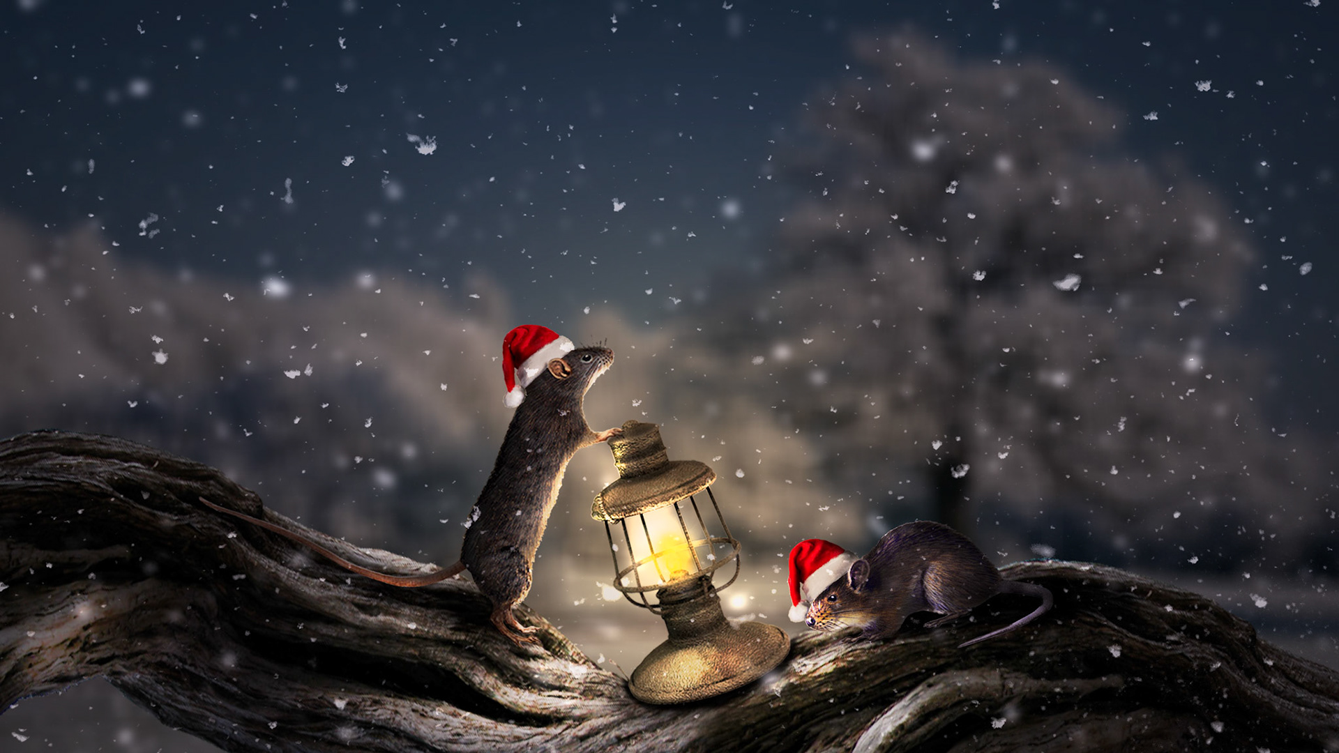 Practicing compositing and photo manipulation in preparation for my Staged Project work - I am working on some compositing fundamentals and tutorials - this is a product of one and I may use it for a Christmas card this year.This is 'Christmas Mice'
