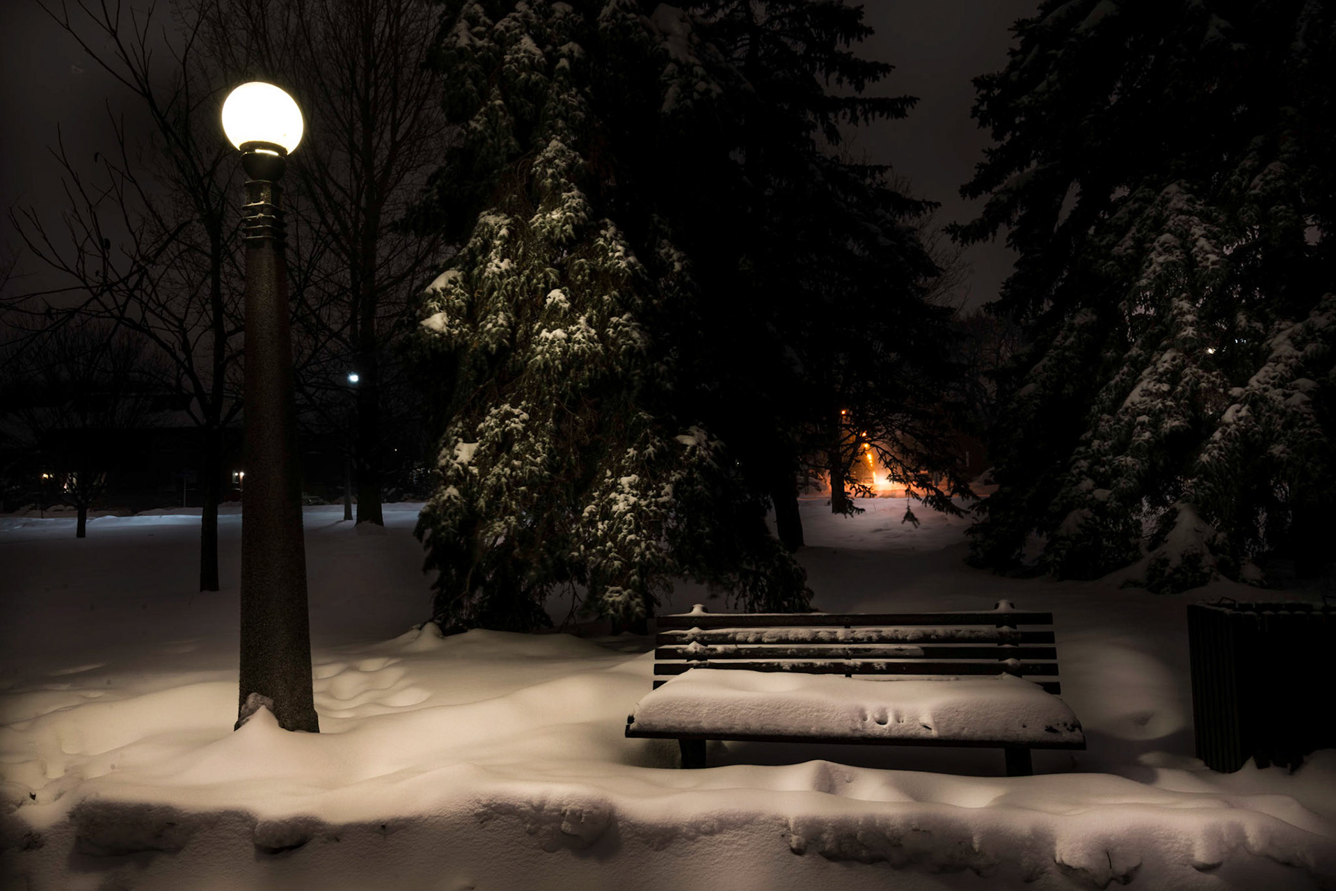 A snowy park bench near the Rideau Canal.