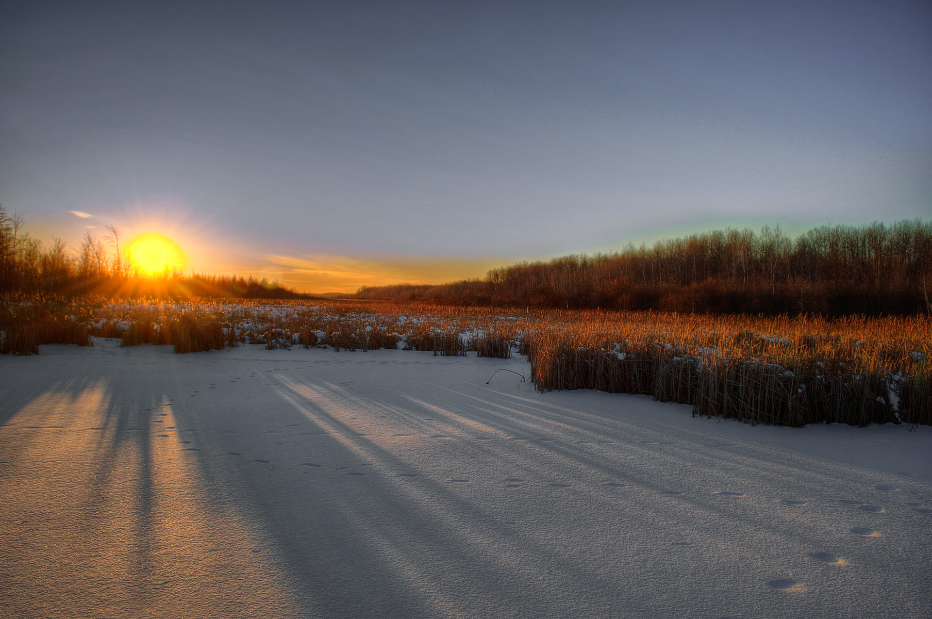 Sunset on the Mer Bleue Pond