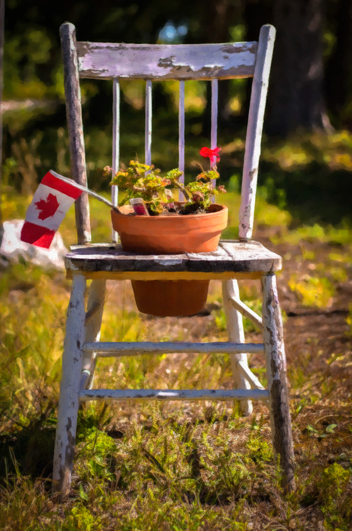 An old chair turned into a planter standng by the road.