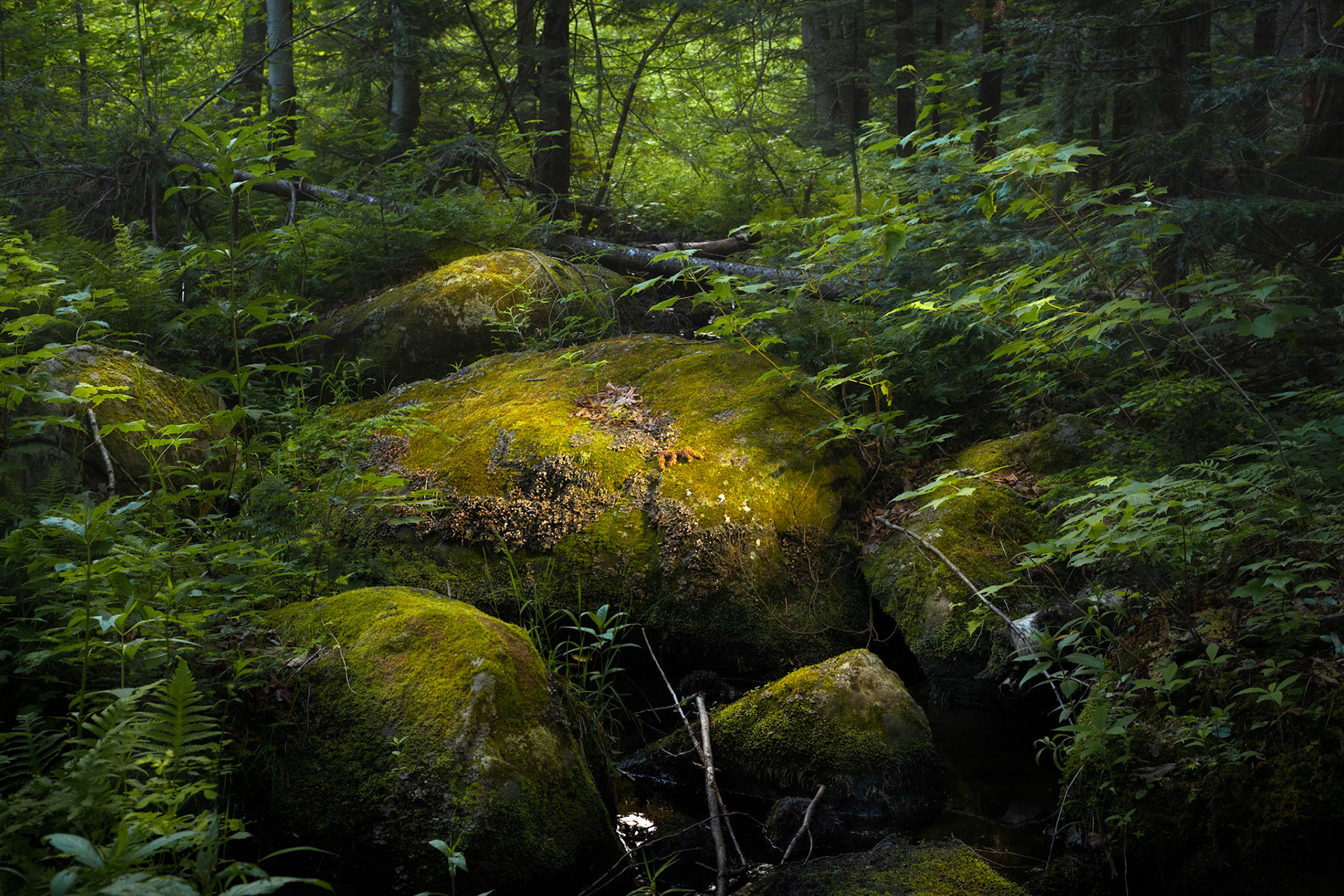 Rock formation on the trek through the bush to Fiddler Lake in Mille-Isles QC.