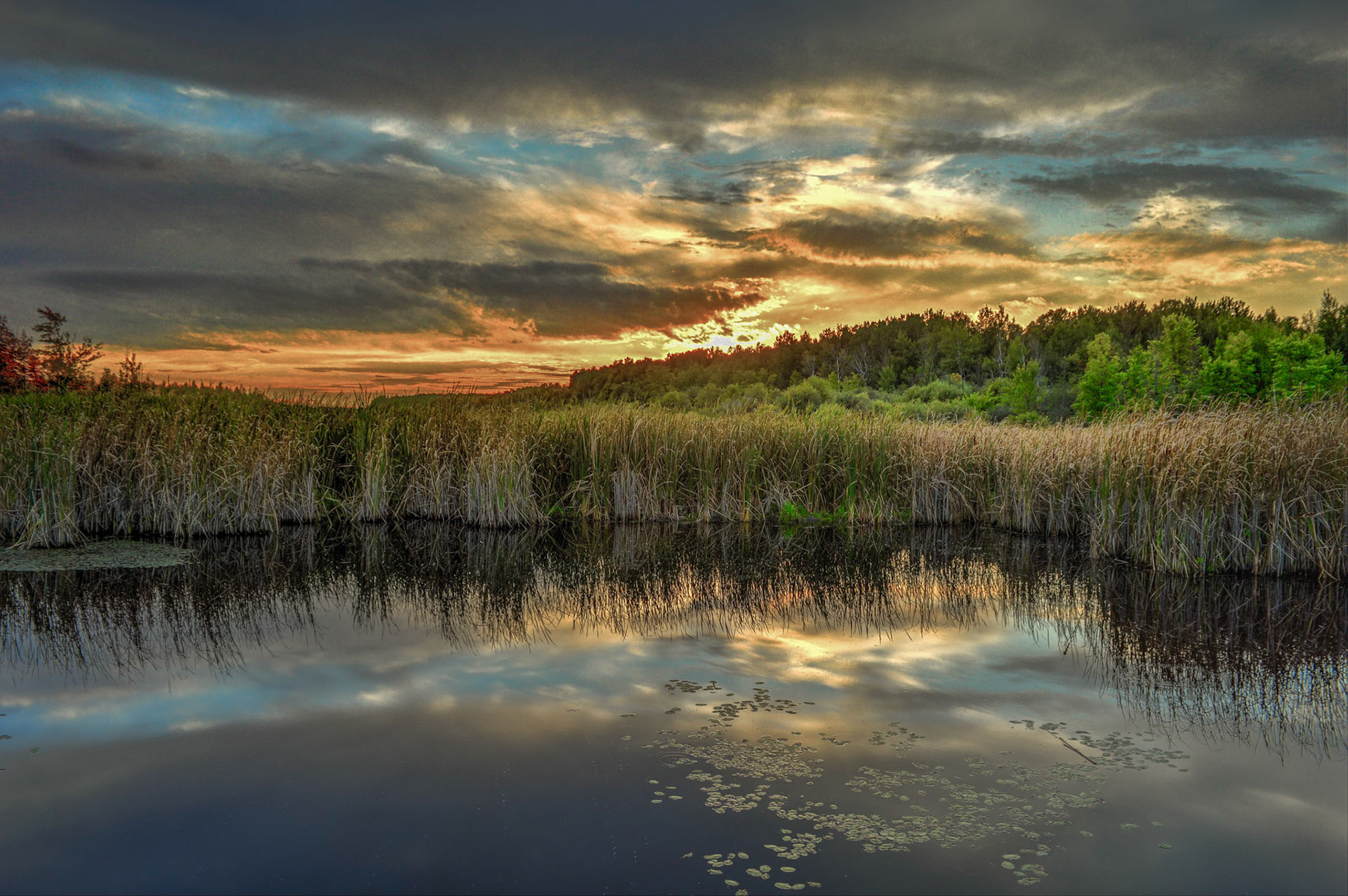 Mer Bleue - Last Sun