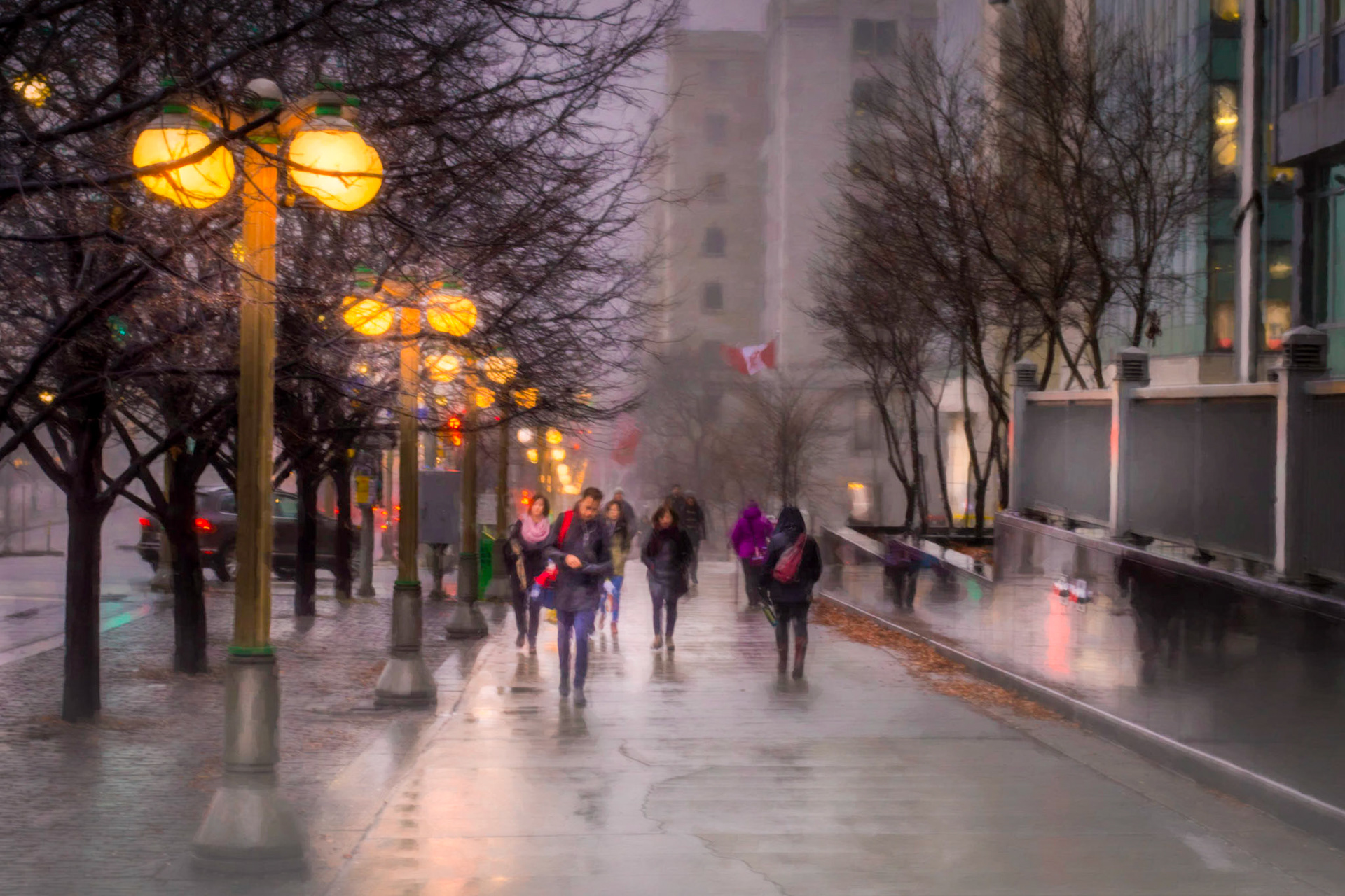 An early morning walk down Elgin Street to work.