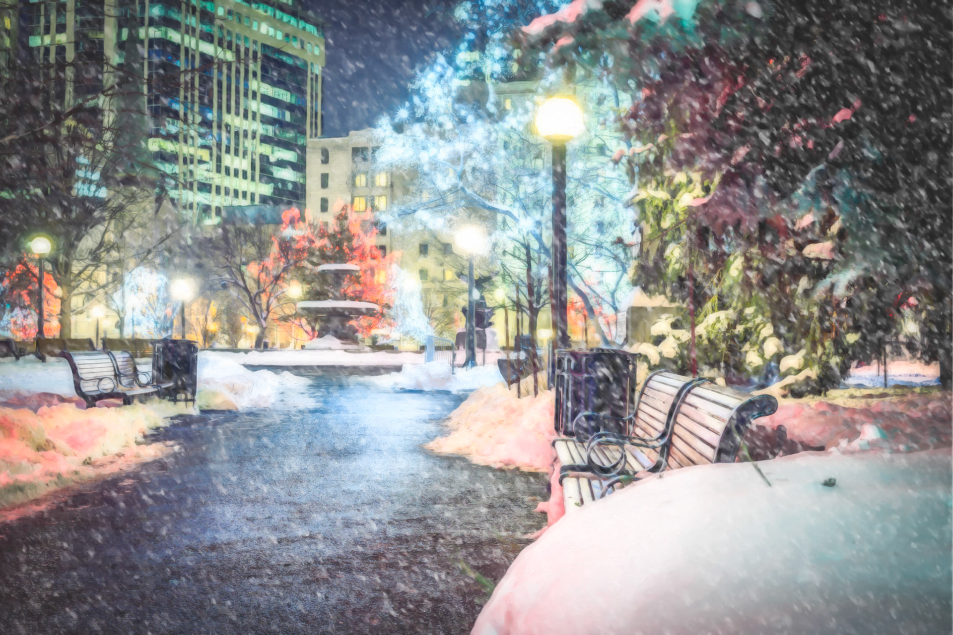 The Christmas lights in Confederation Park are beautiful and made the whole park light up.