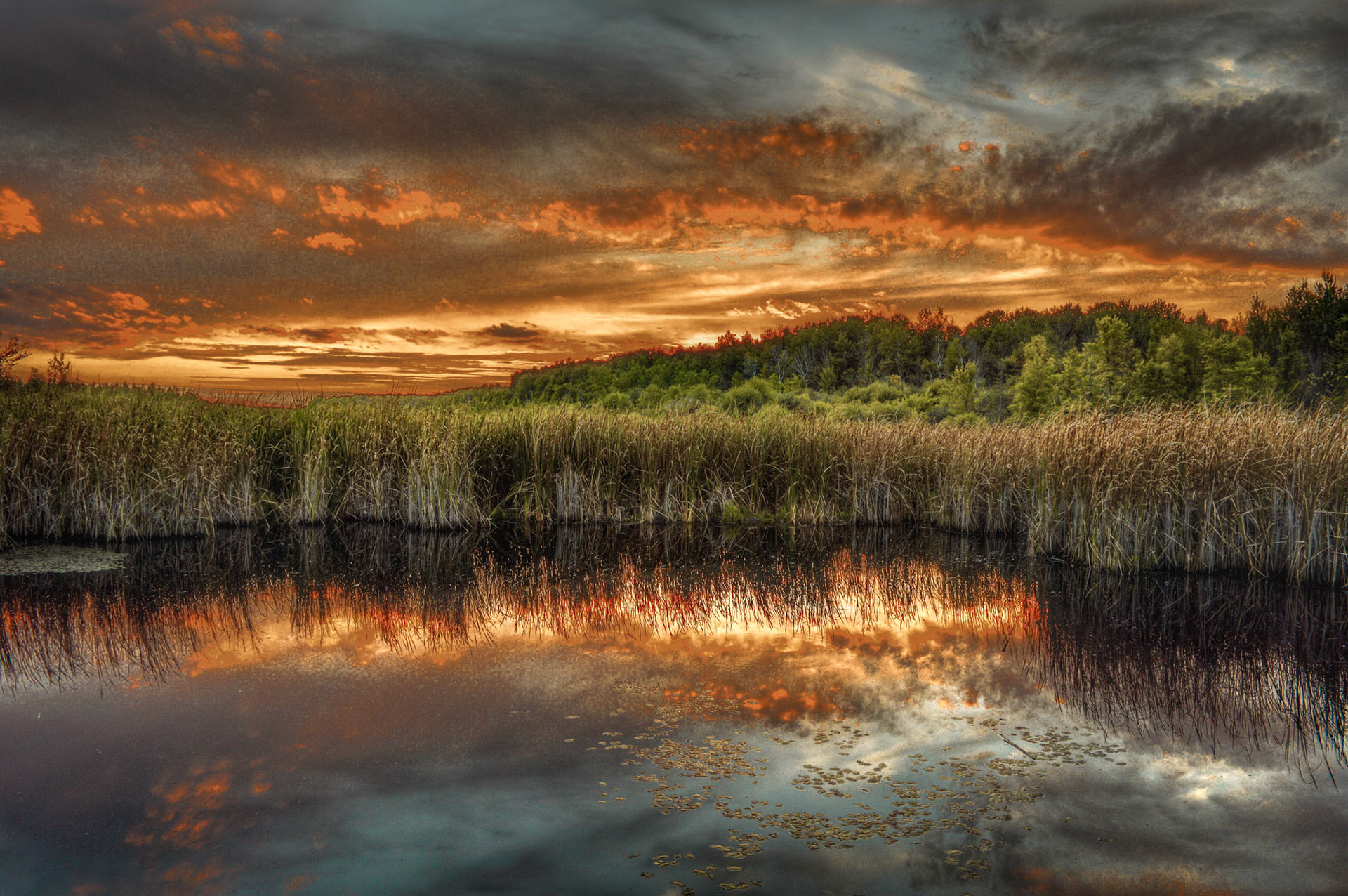 Mer Bleue - Sky Fire