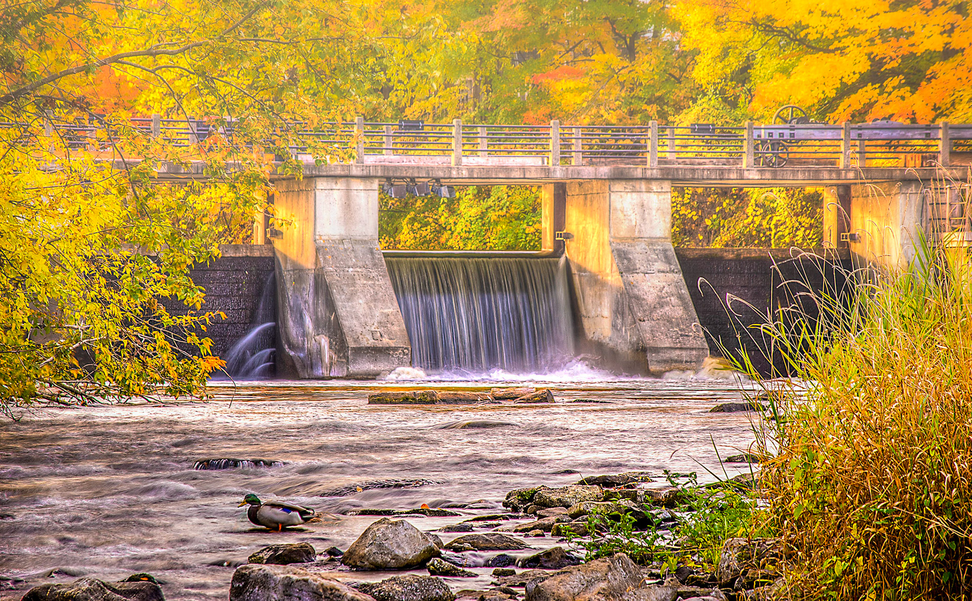Spillway at Watson's Mill Manotick