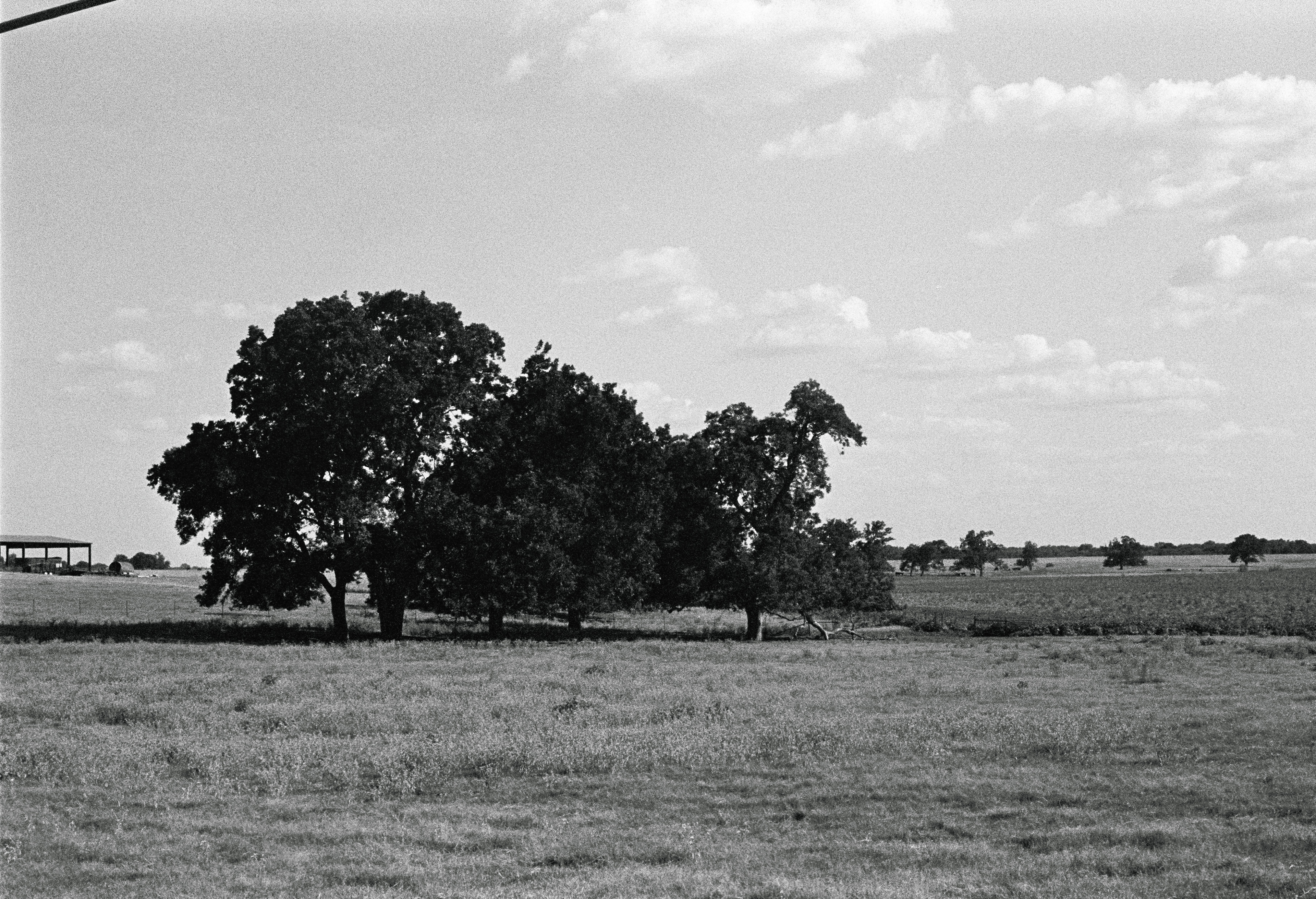 Cannon A-1- Ilford hp5 @400