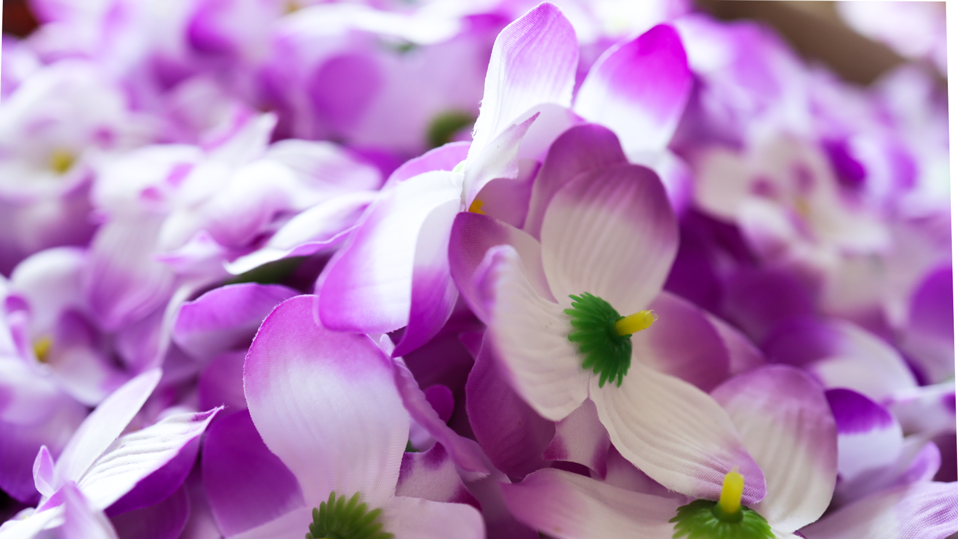 대도조화 중국 웨이하이 공장