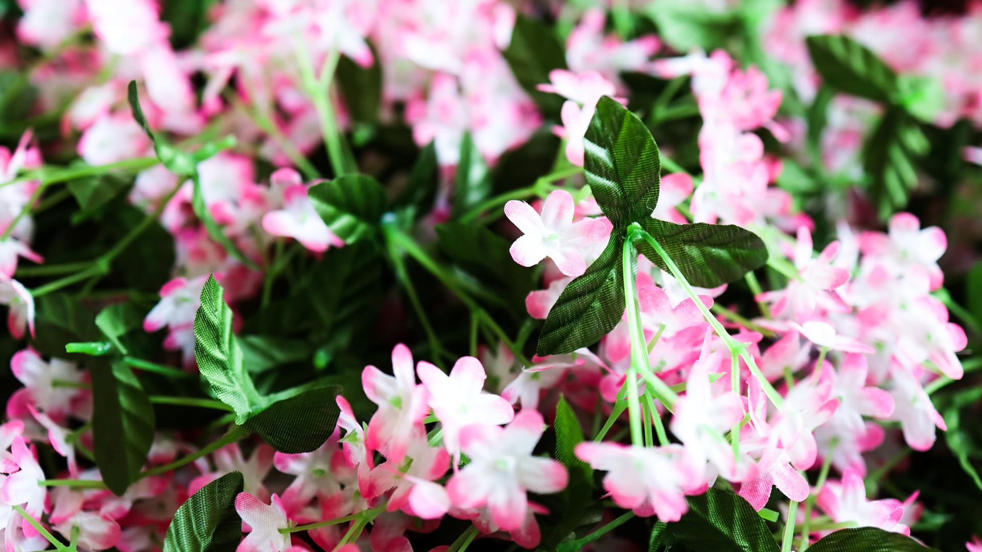 대도조화 중국 웨이하이 공장