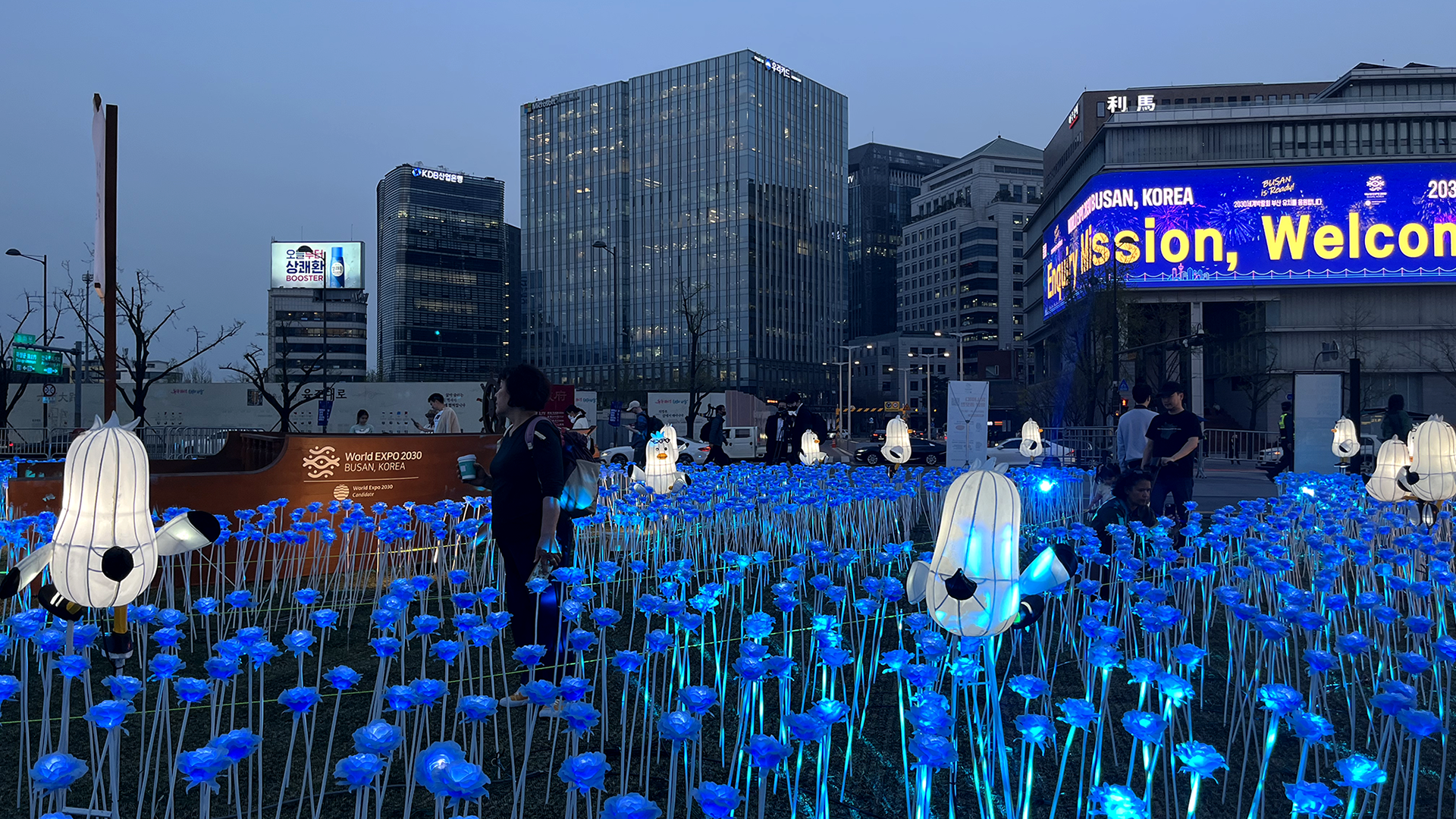 2023 Expo2030 BUSAN 광화문 LED 장미 설치