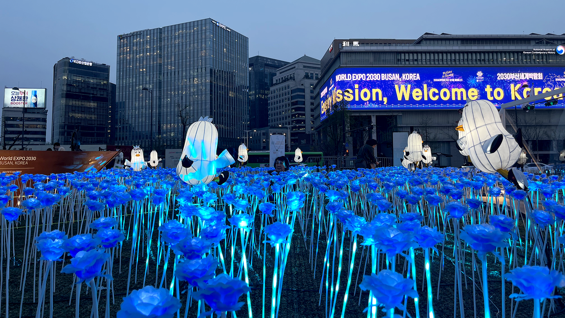 2023 Expo2030 BUSAN 광화문 LED 장미 설치