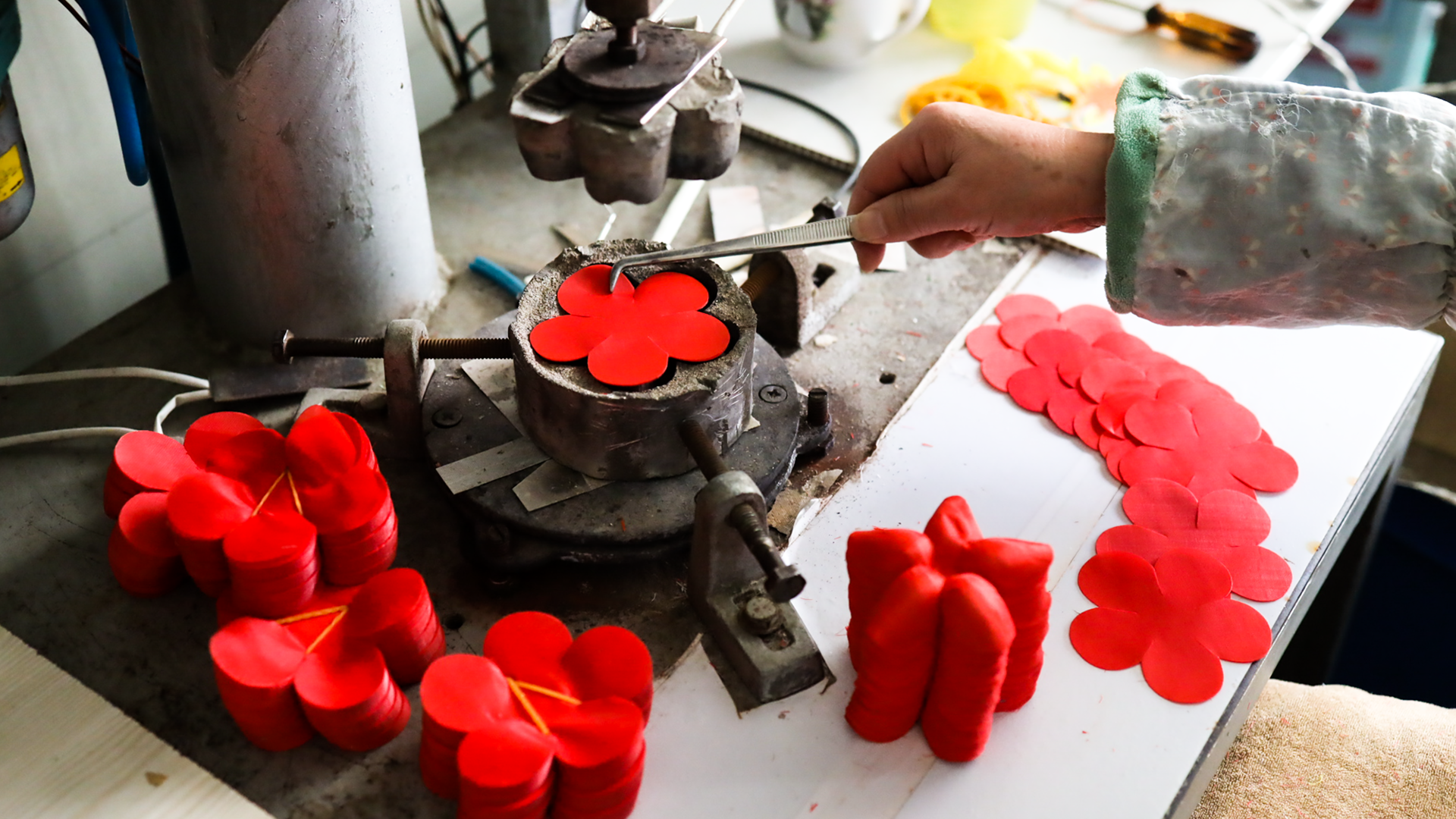 대도조화 중국 웨이하이 공장