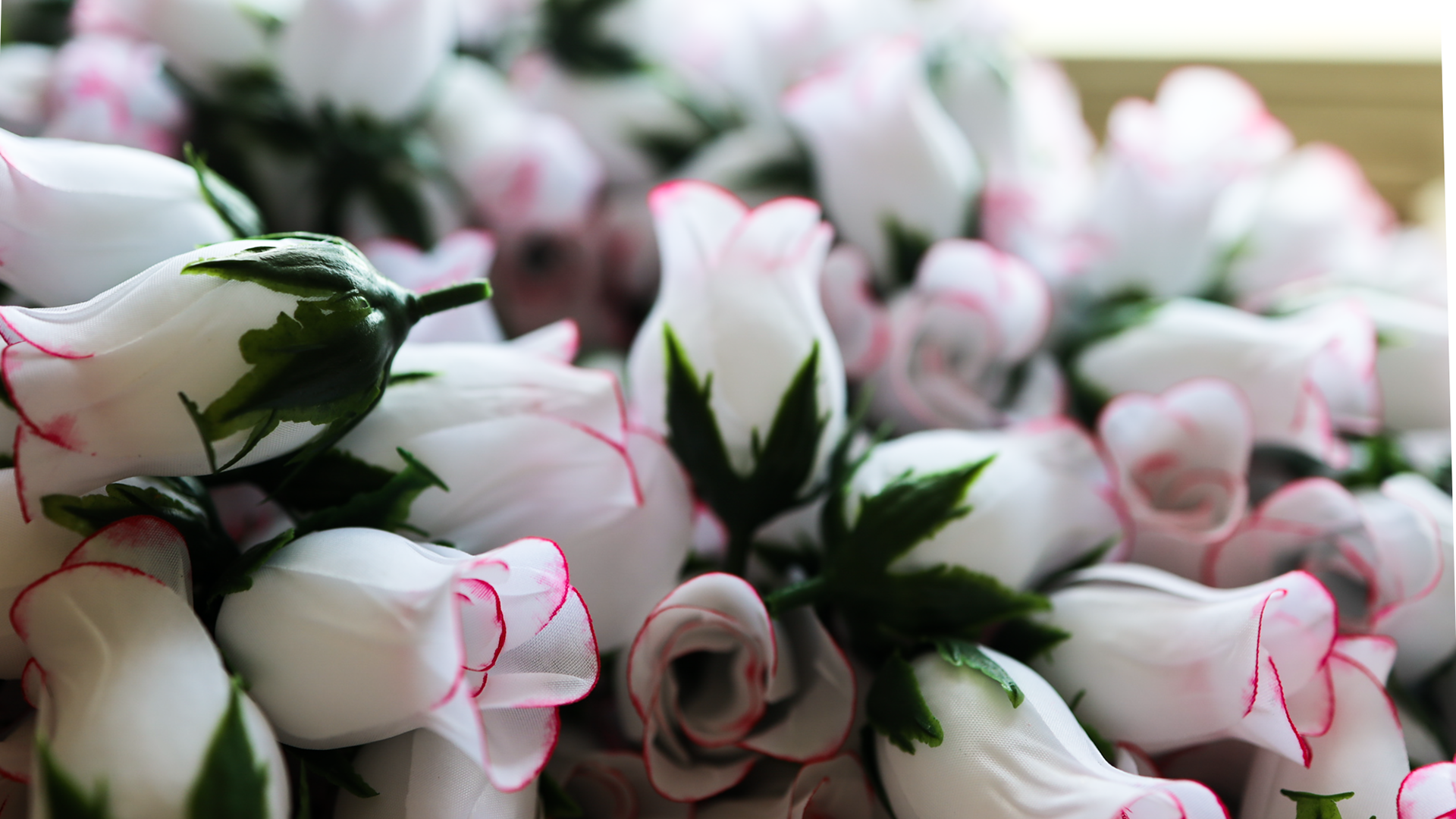 대도조화 중국 웨이하이 공장