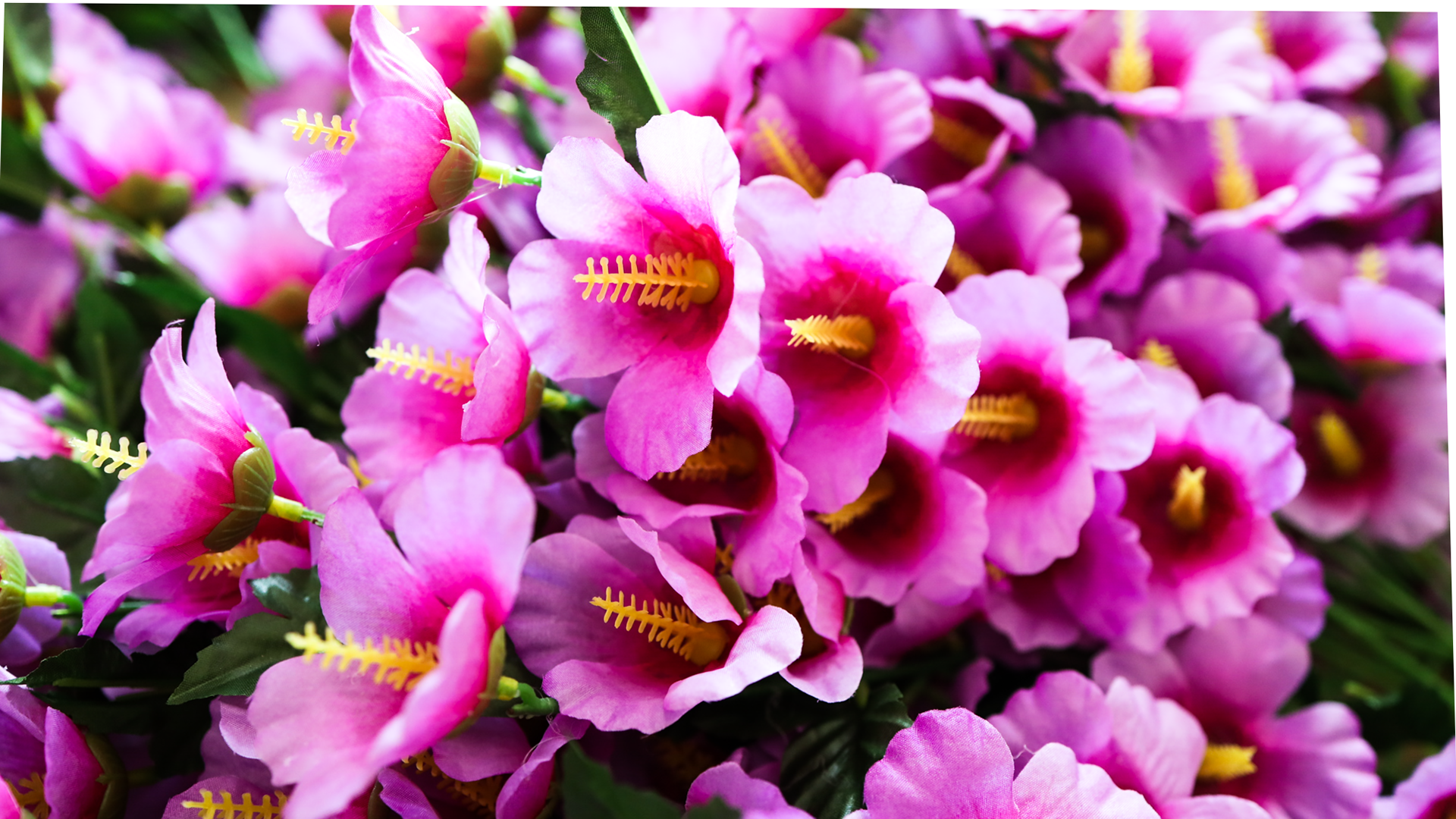 대도조화 중국 웨이하이 공장