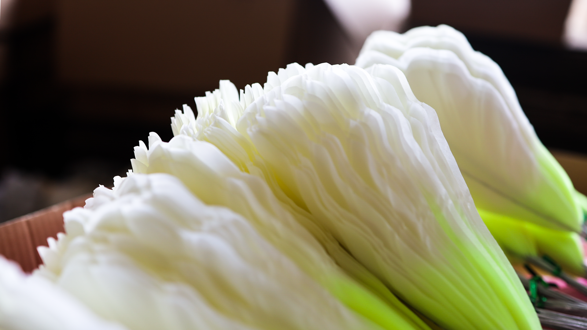 대도조화 중국 웨이하이 공장