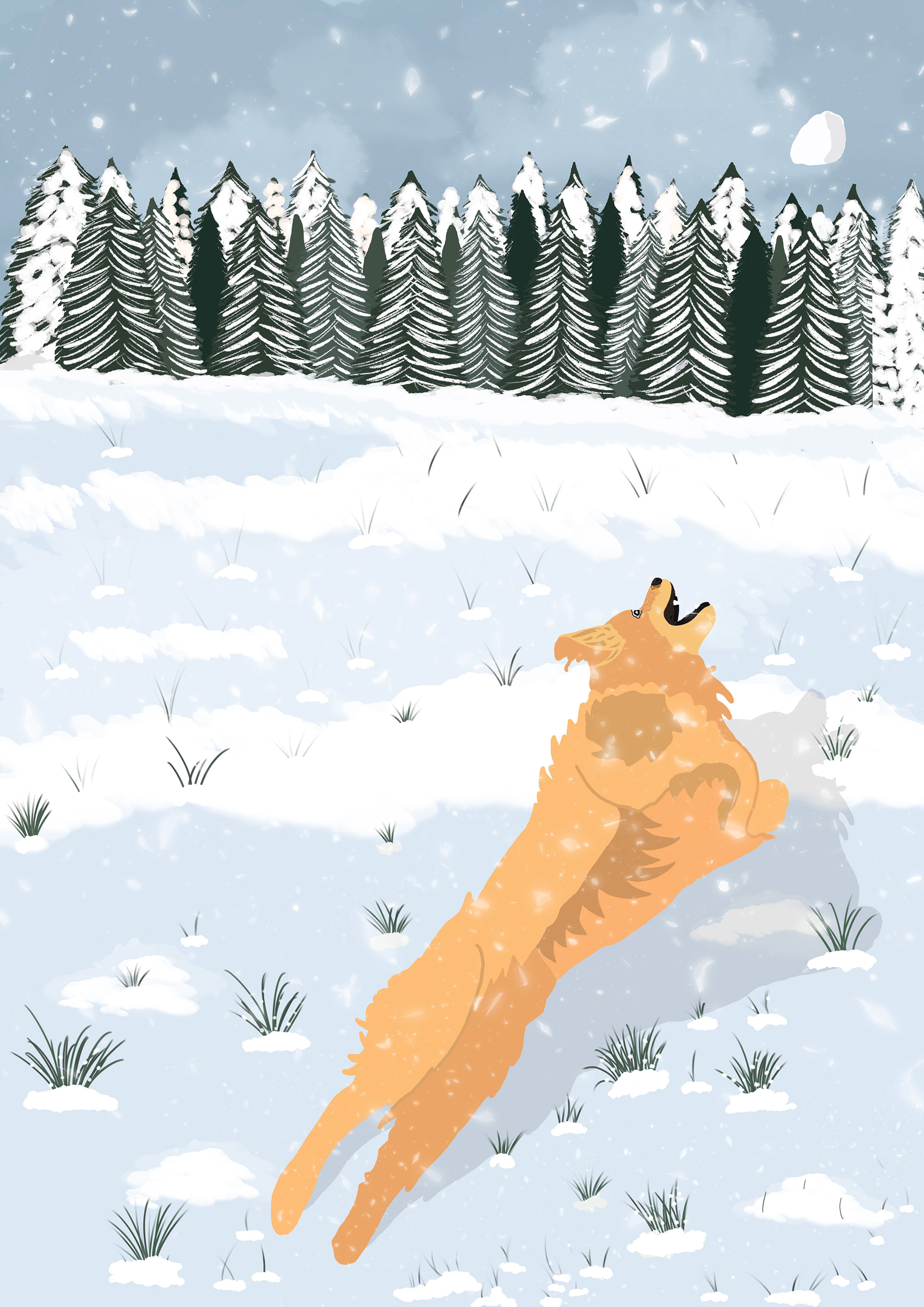 Snowy Sam