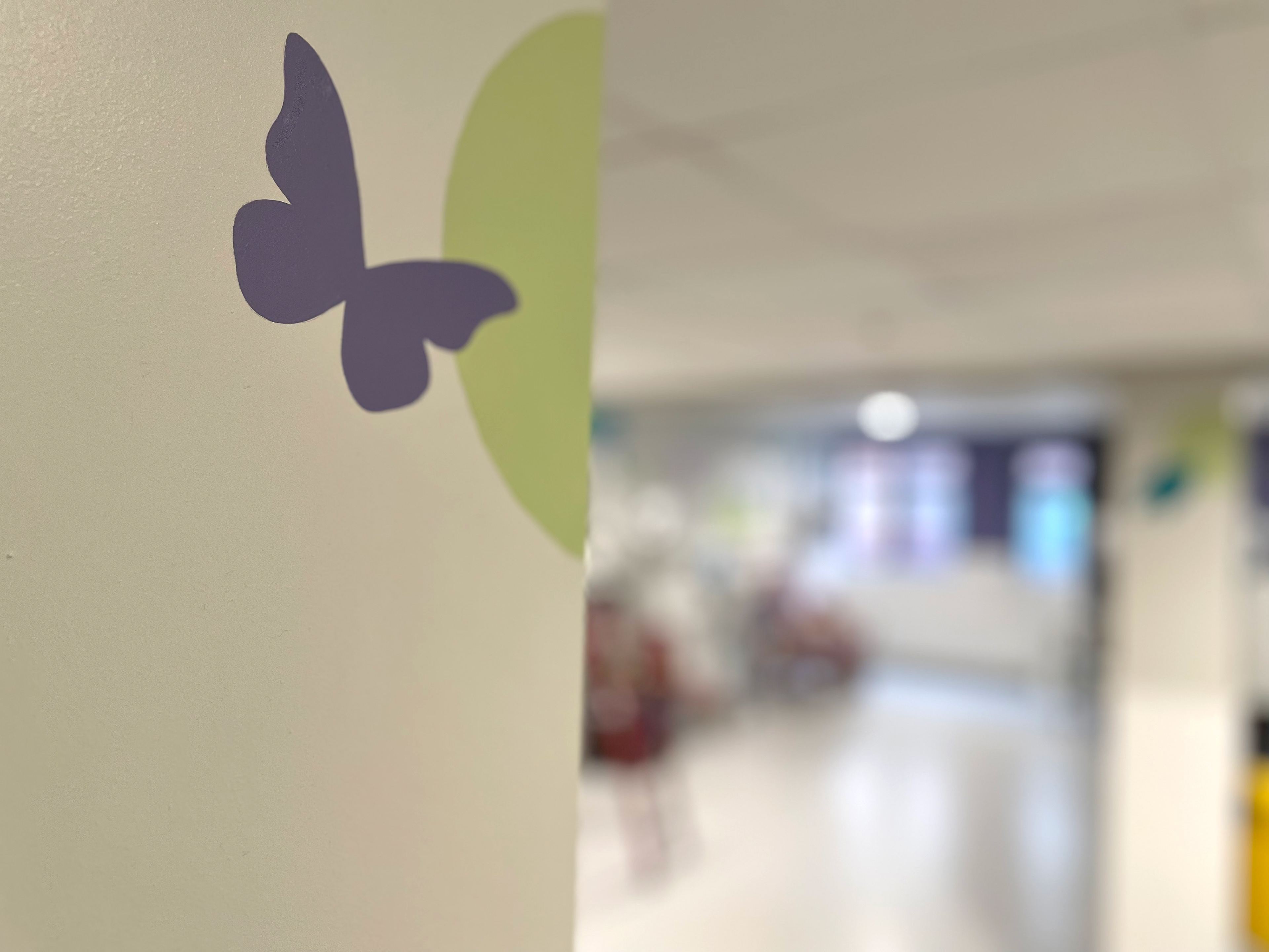 Lynne Hollingsworth Painting Mural in SCBU Sheffield