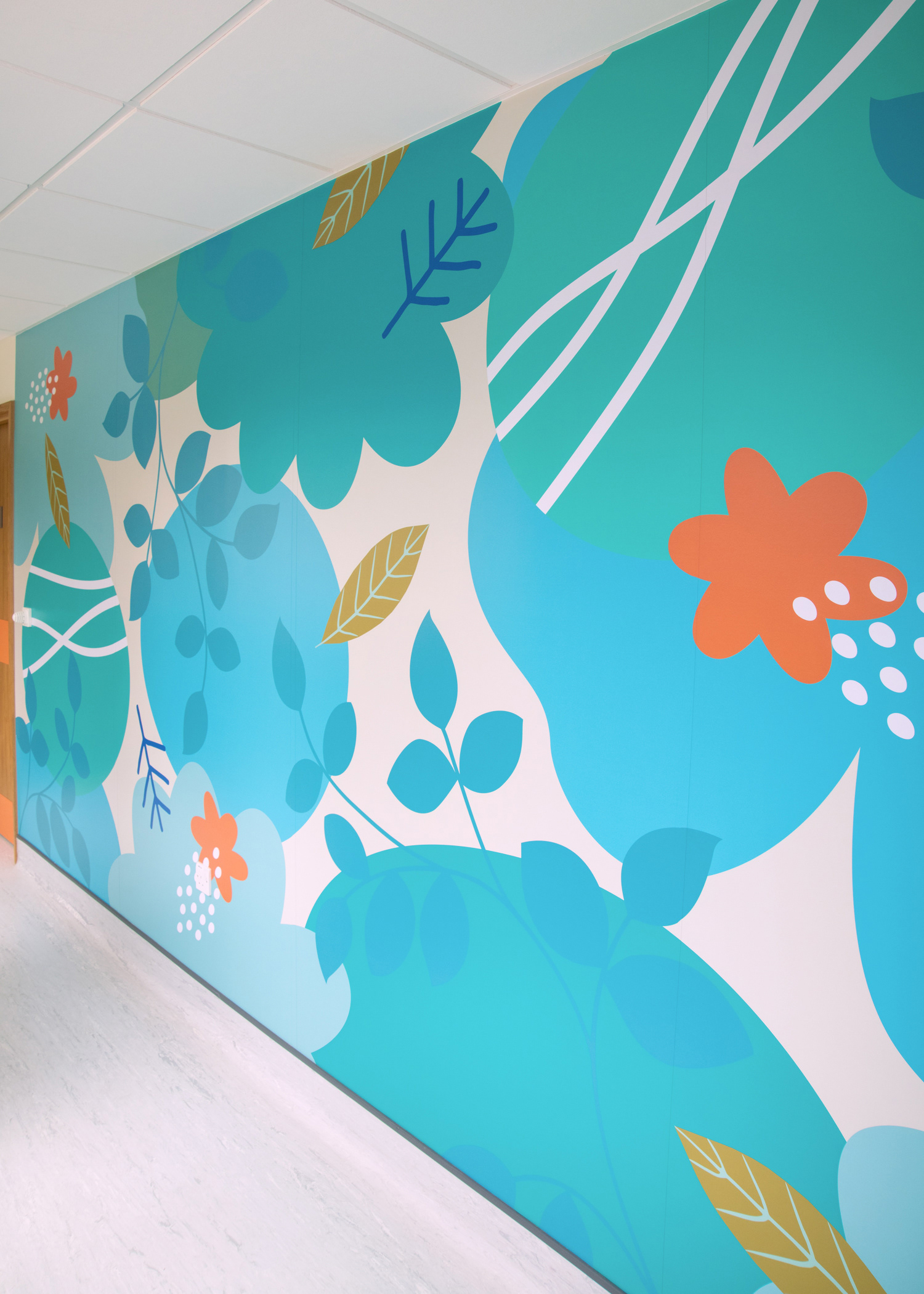 Endoscopy UHCW