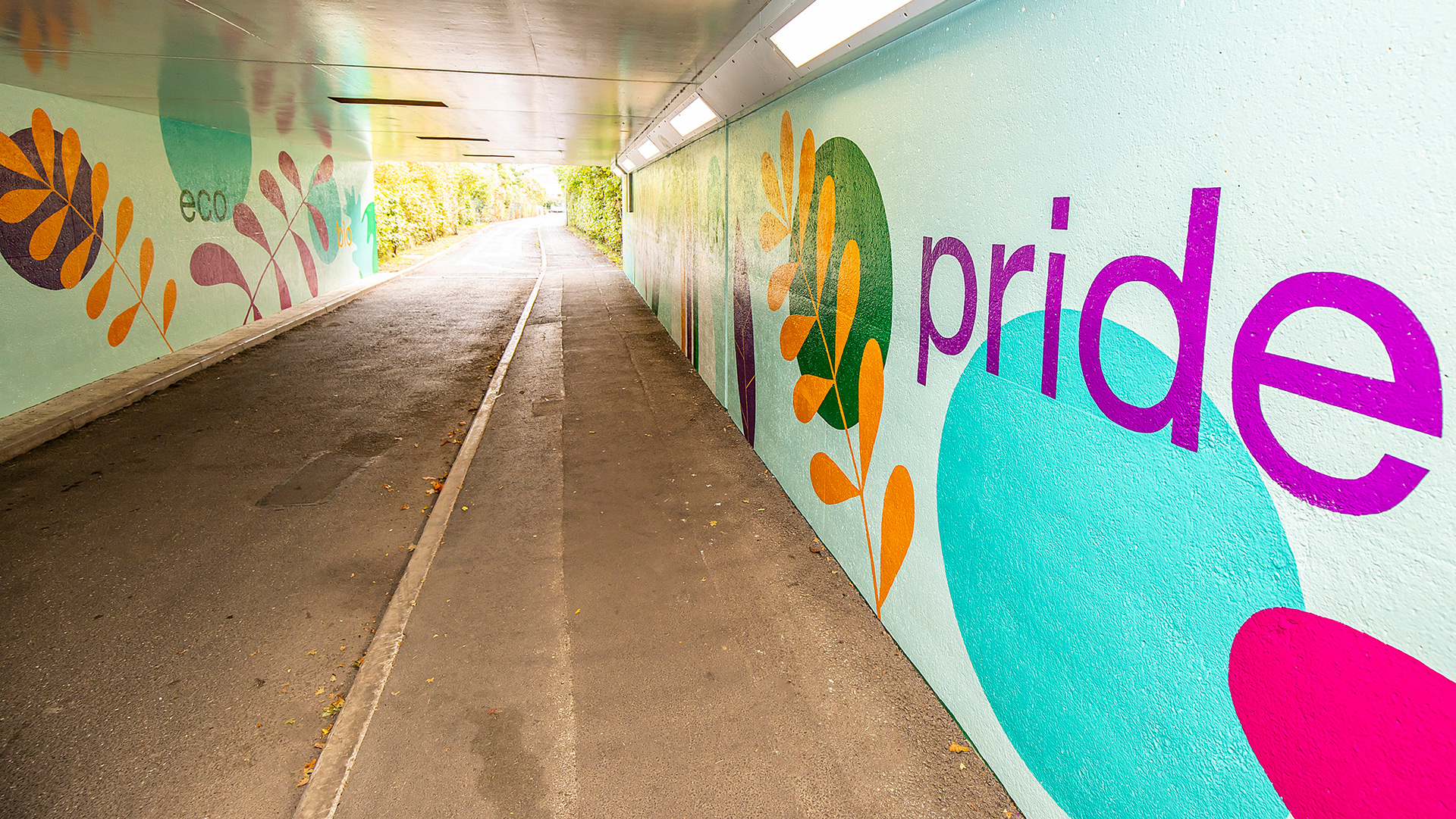 Mural for Bracknell Improvement District
