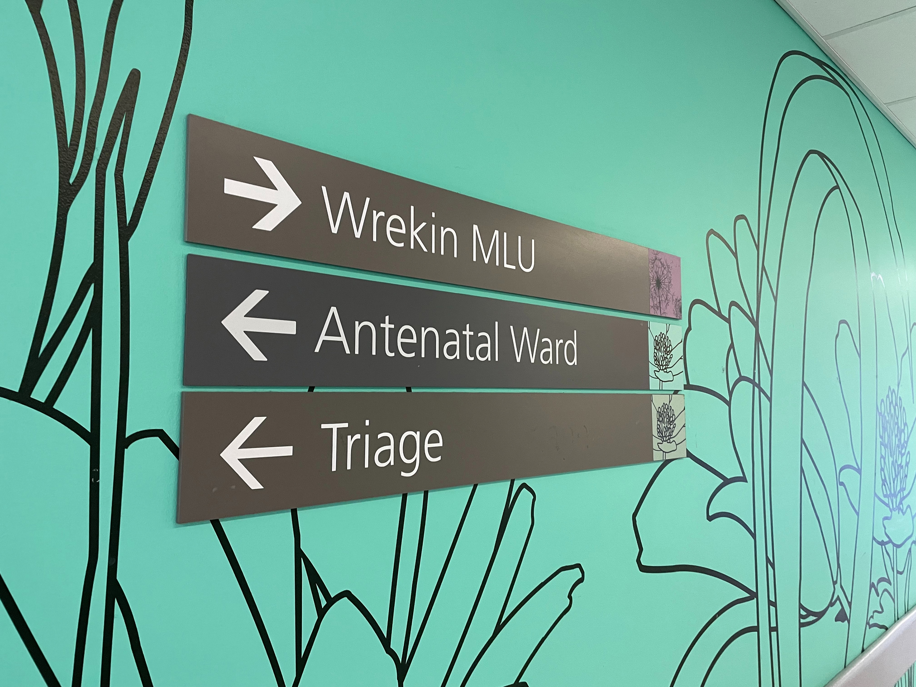 Wreckin Unit Midwife Led Care Unit