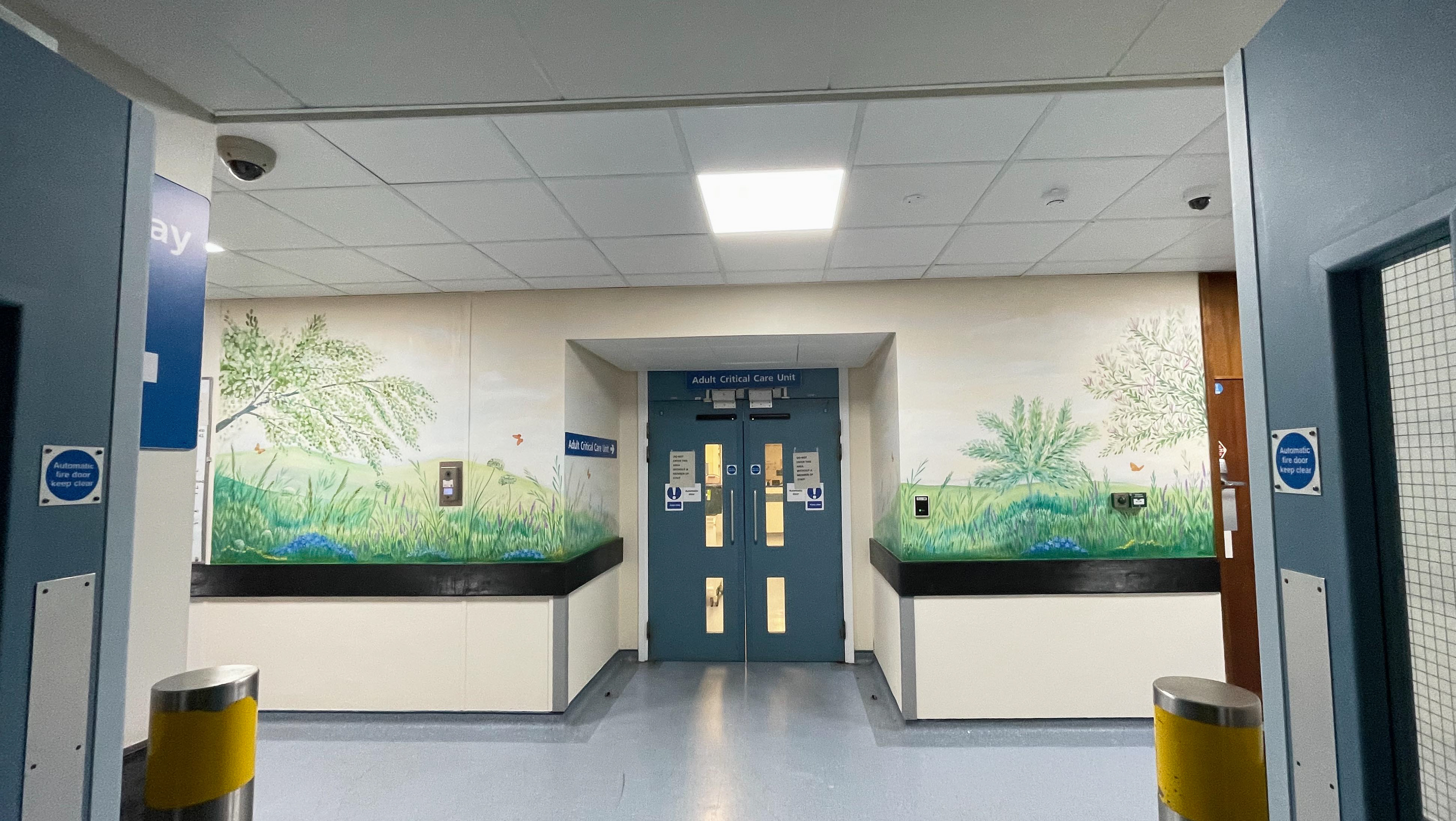 Leicester Royal Mural