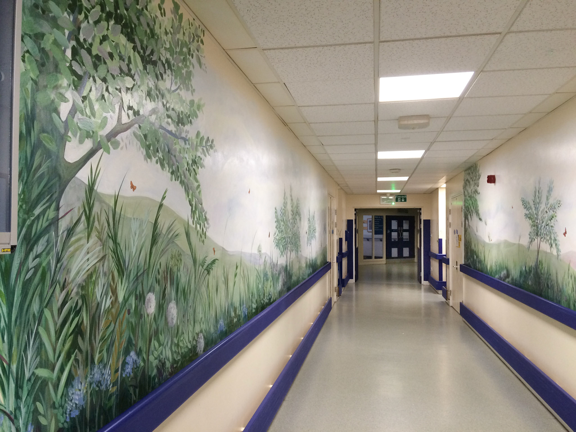 Beautiful wall mural by British artist Lynne Hollingsworth painted at Rugby St Cross Hospital