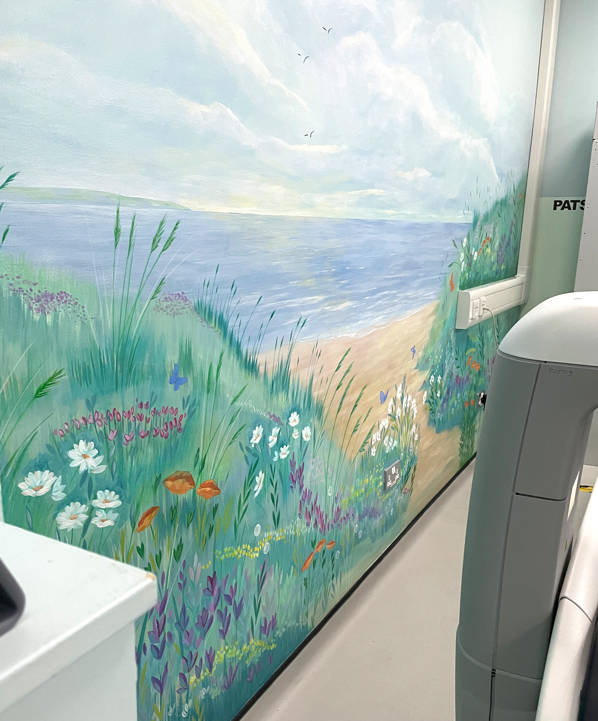 X-Ray Dexa Room Queen's Hospital - Hand Painted