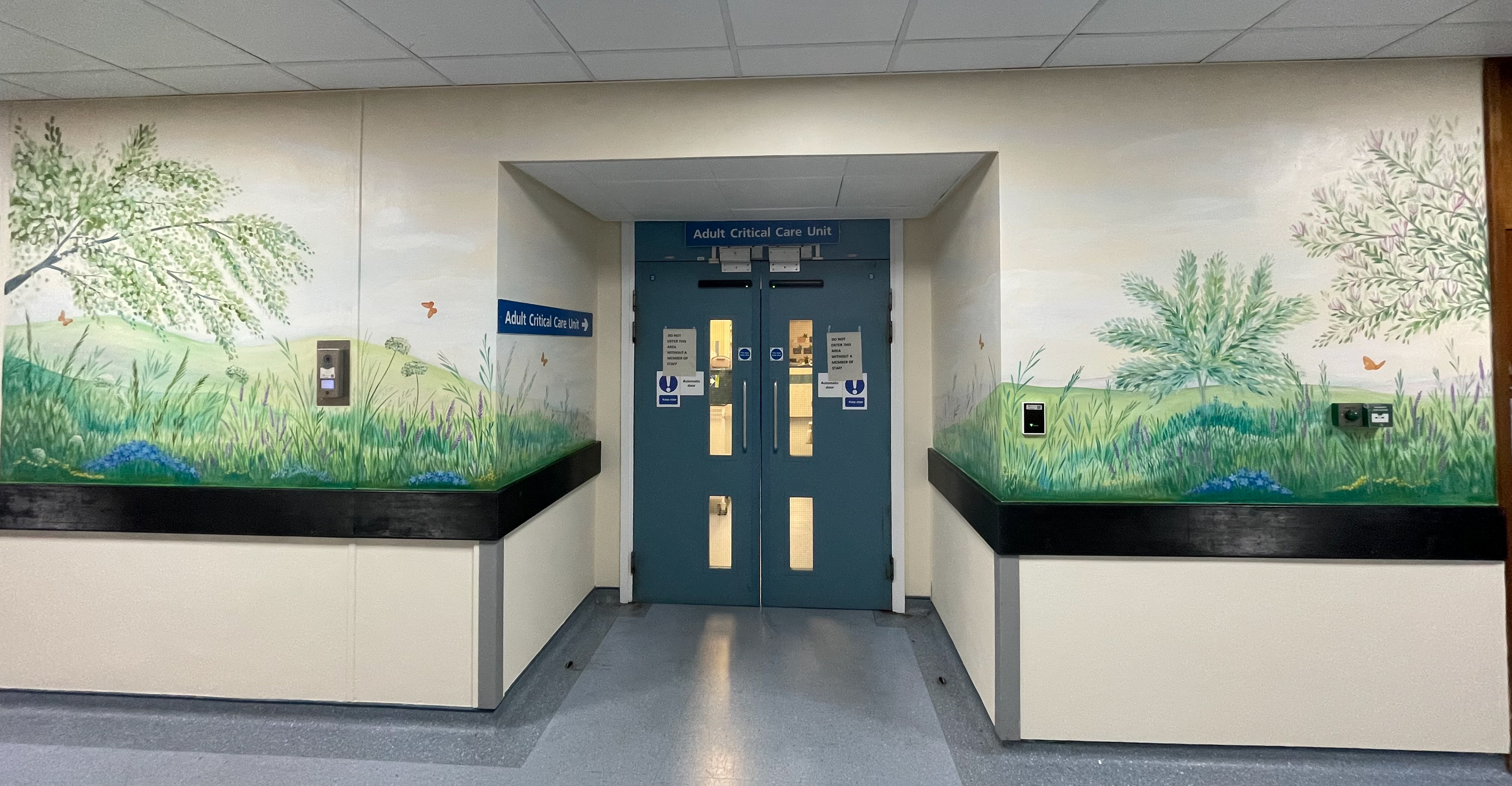 Mural outside ITU Leceister Royal Infimary
