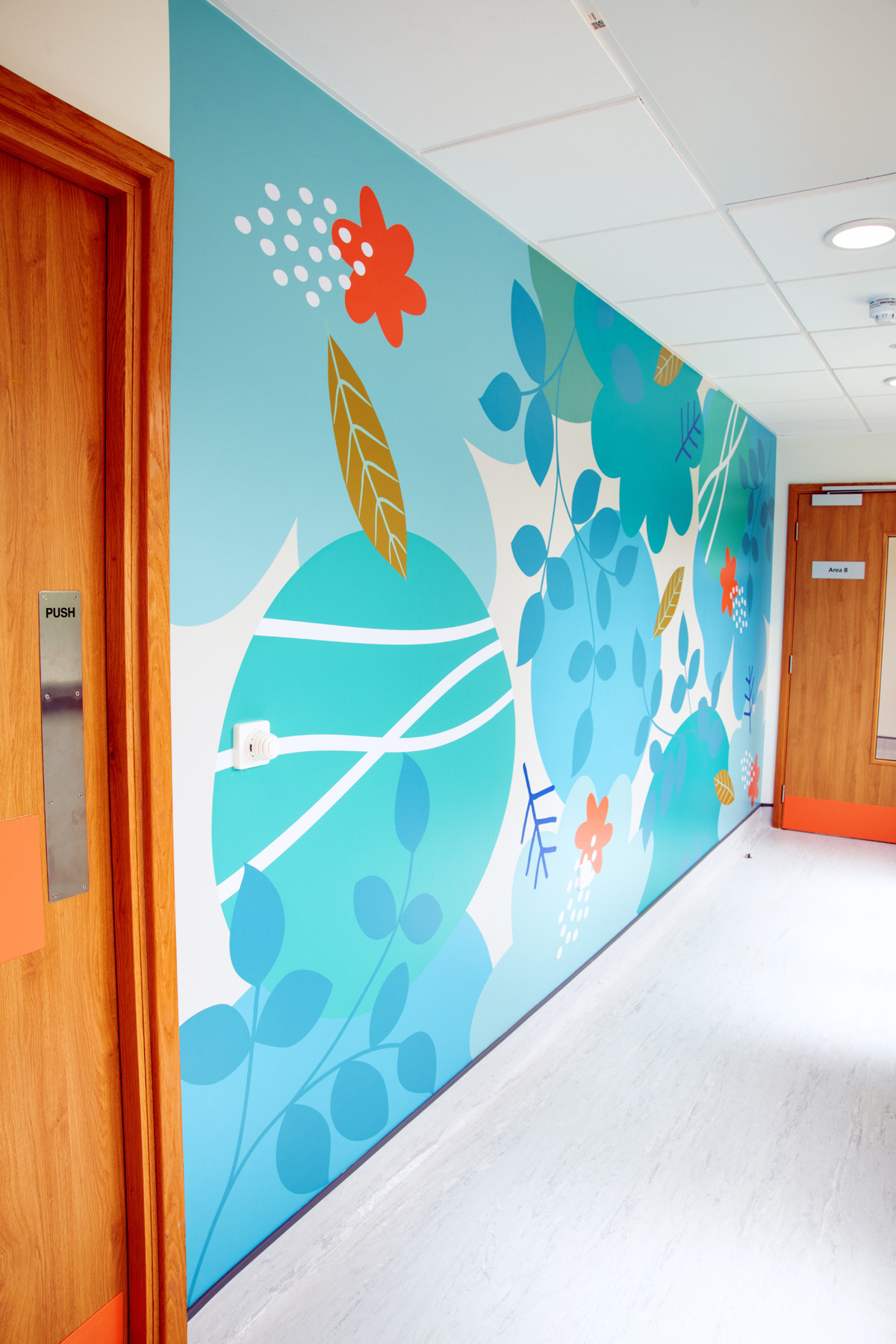 Endoscopy UHCW