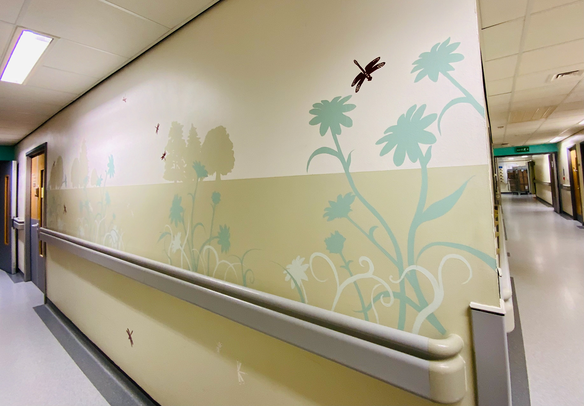 Labour Ward Corridor  Derby Royal Hospital 