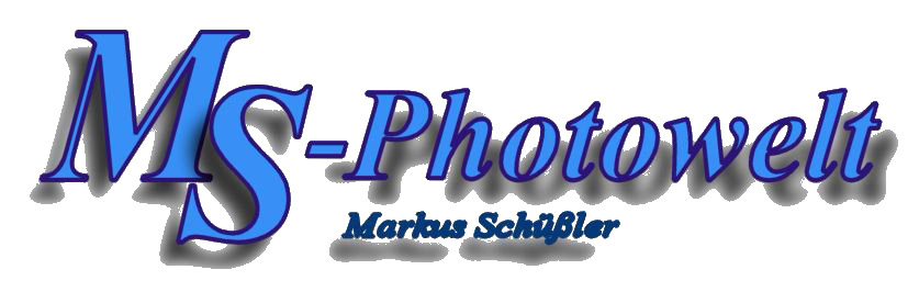 Markus Schüßler