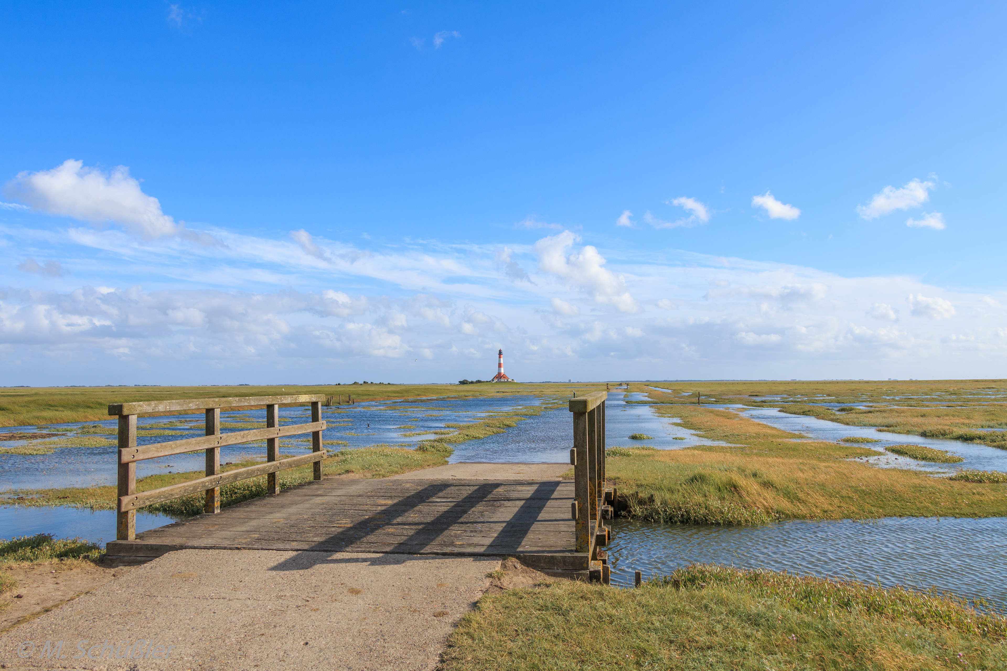 Salzwiesen vor Westerhever