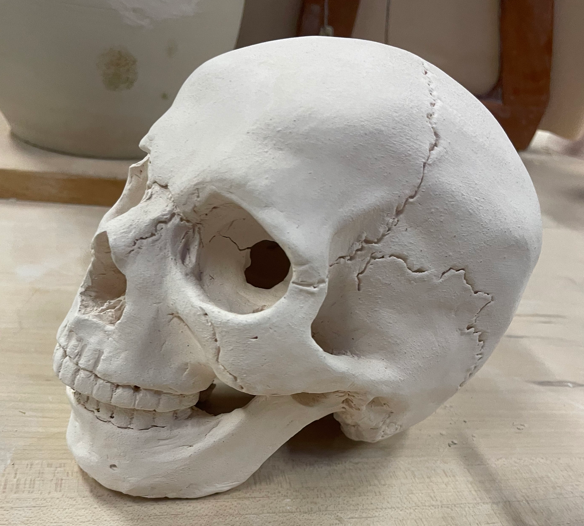 Skull - Ceramics