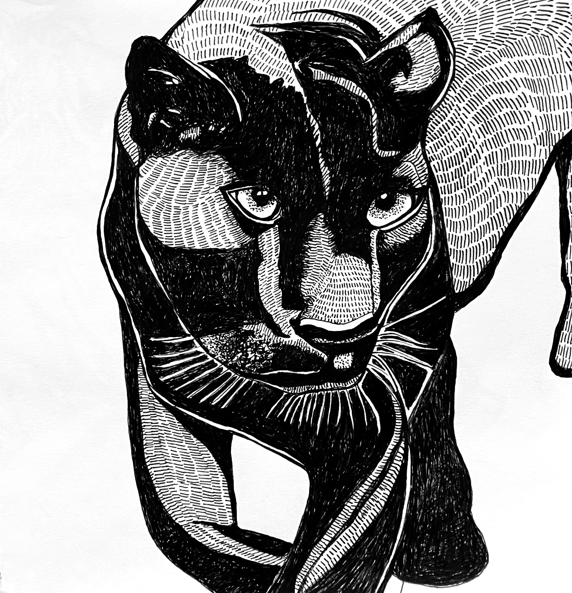 Black Panther