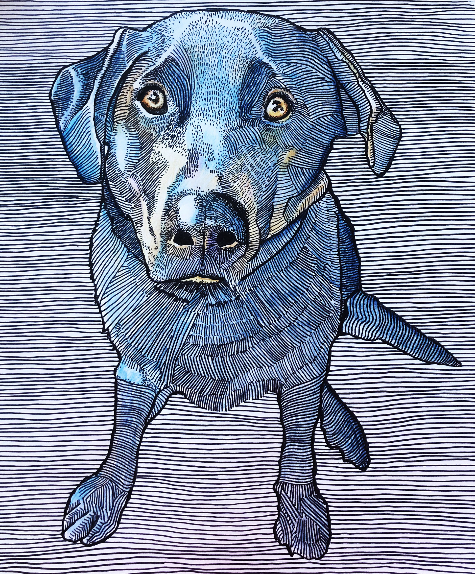 Ole Blue