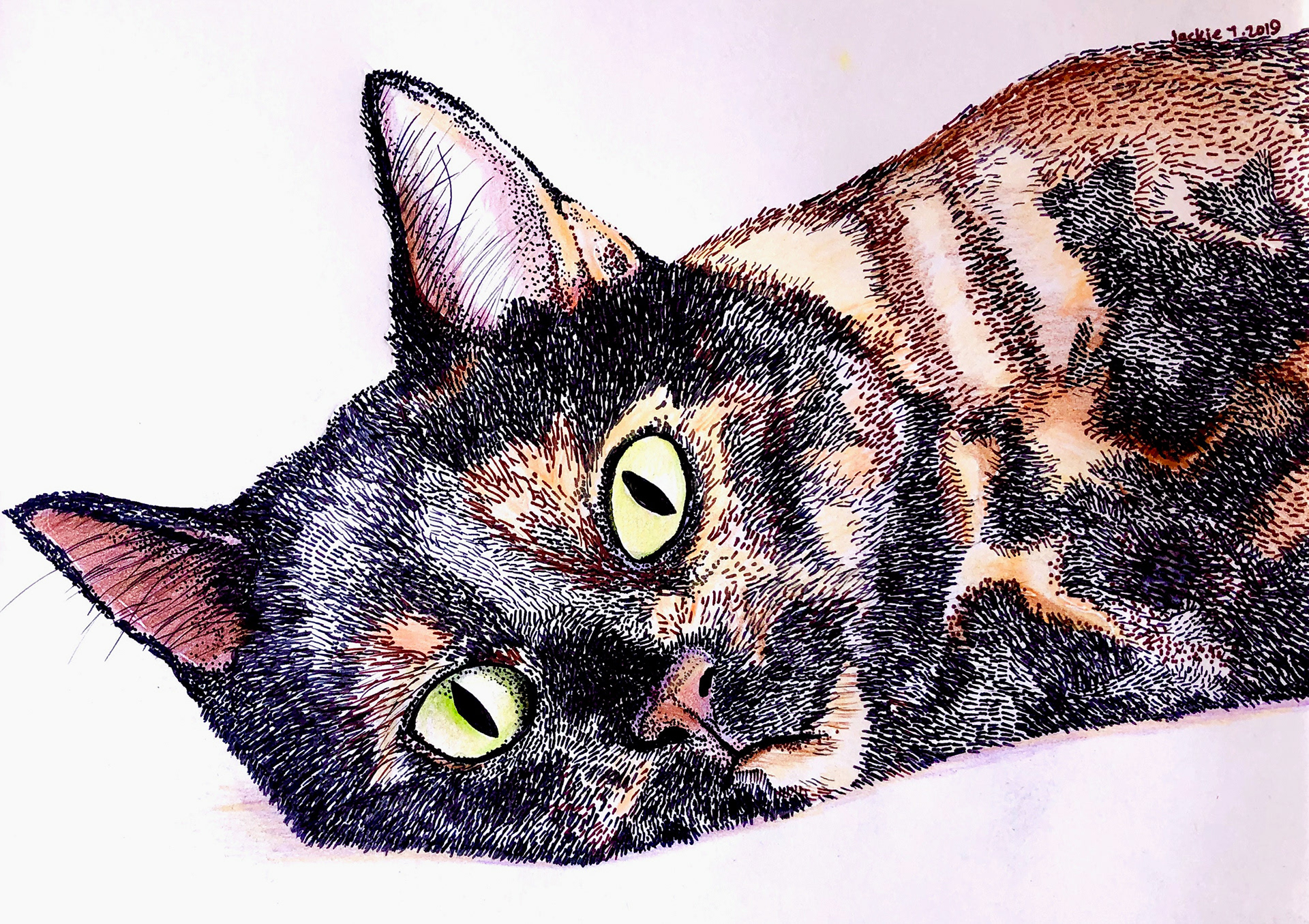 Kitty