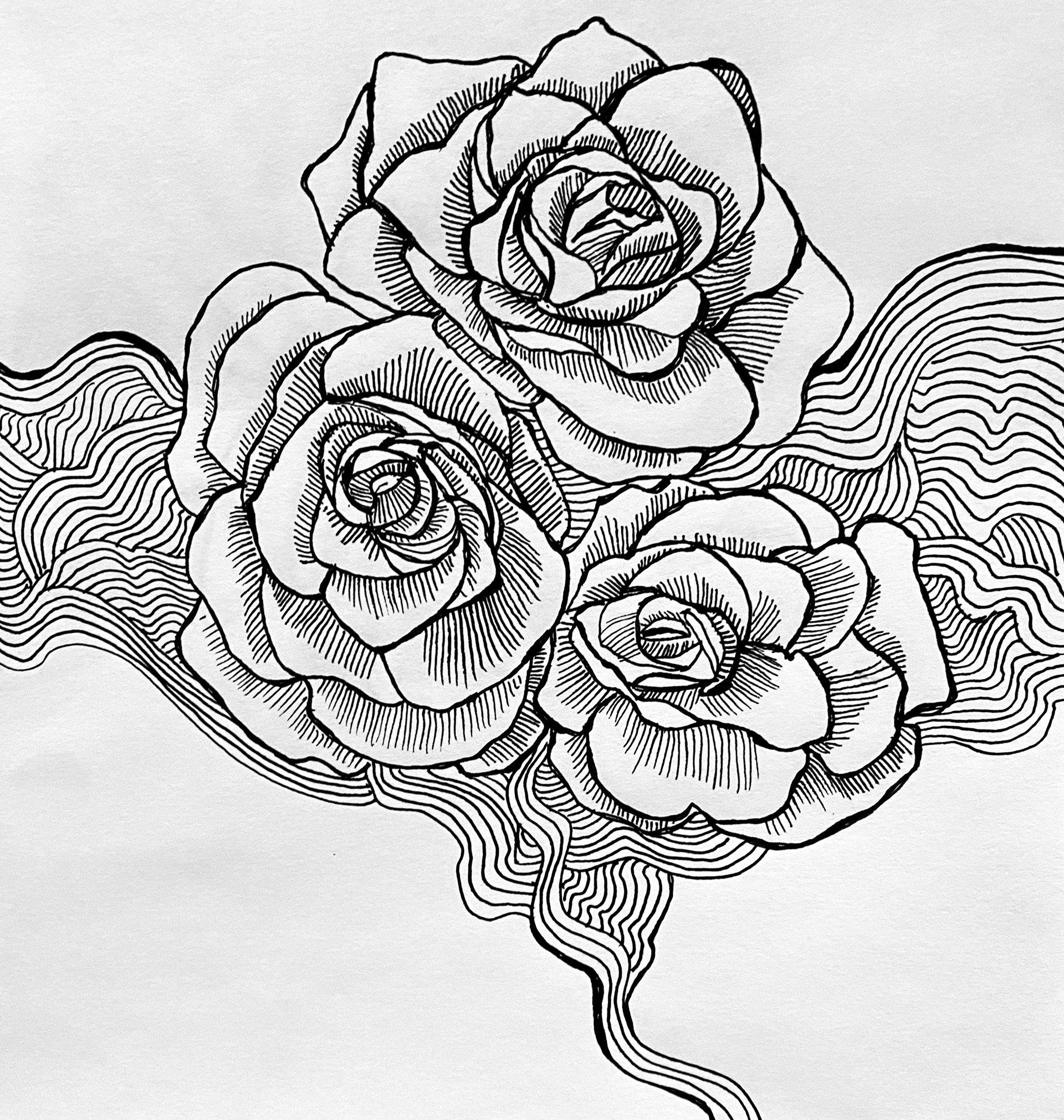 Roses