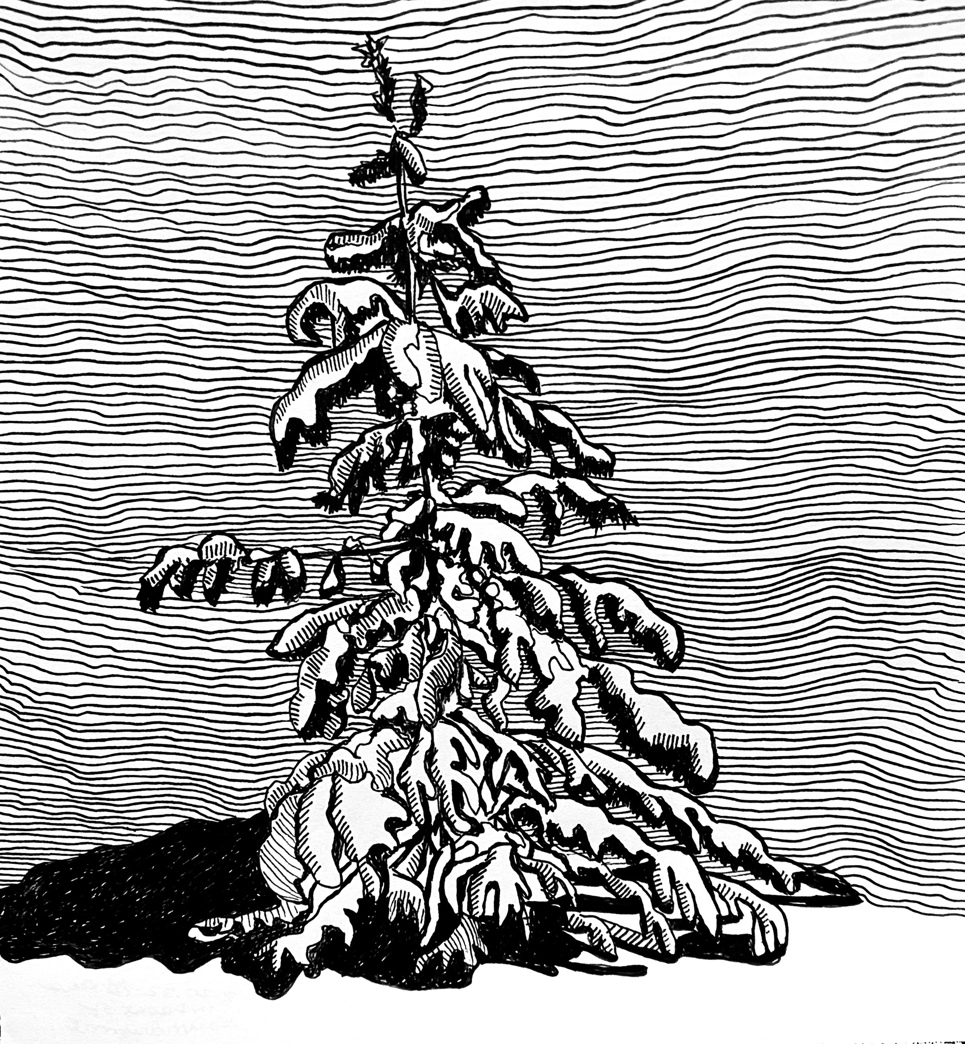 Tree in Snow