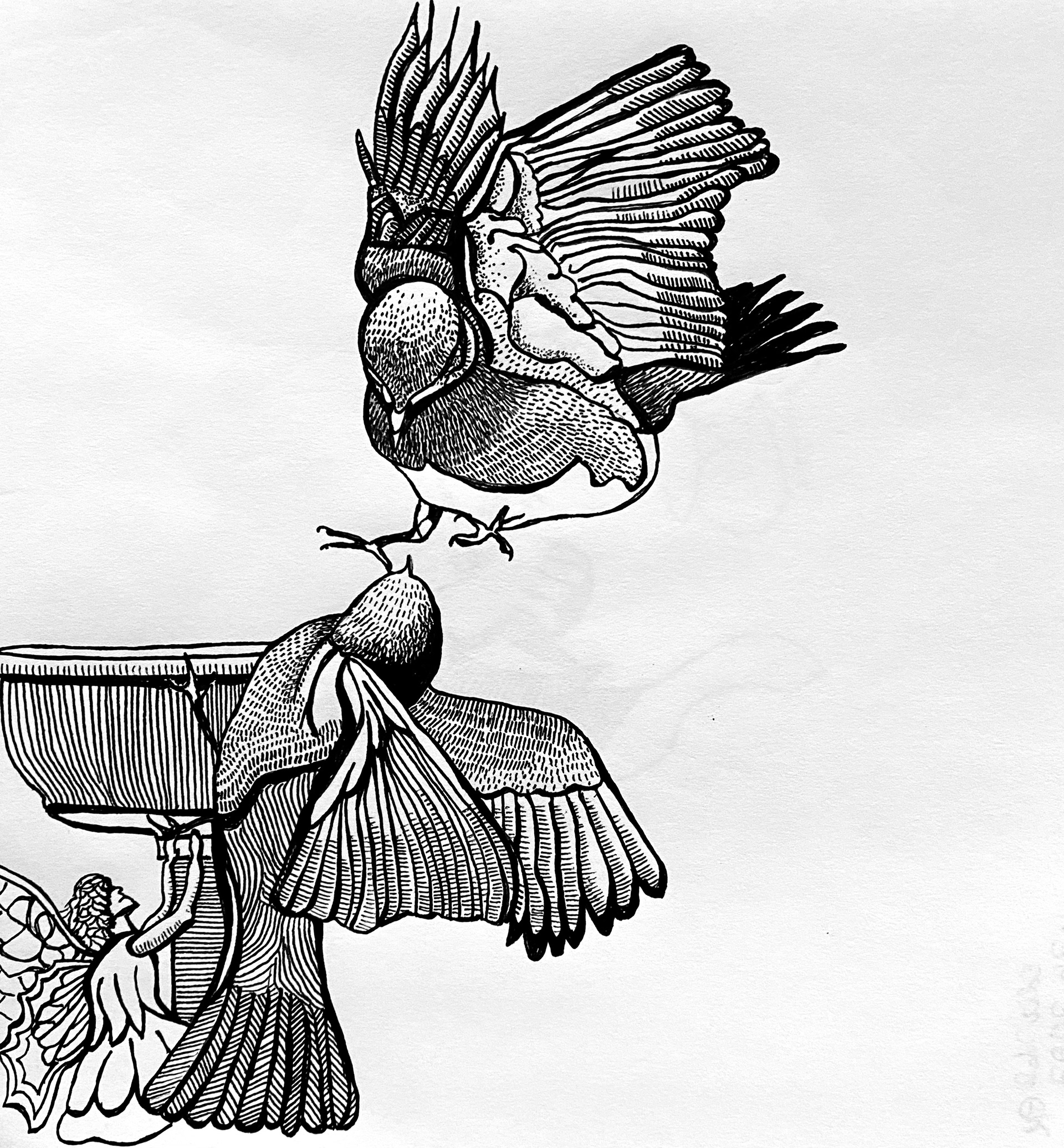 Birds and fountain