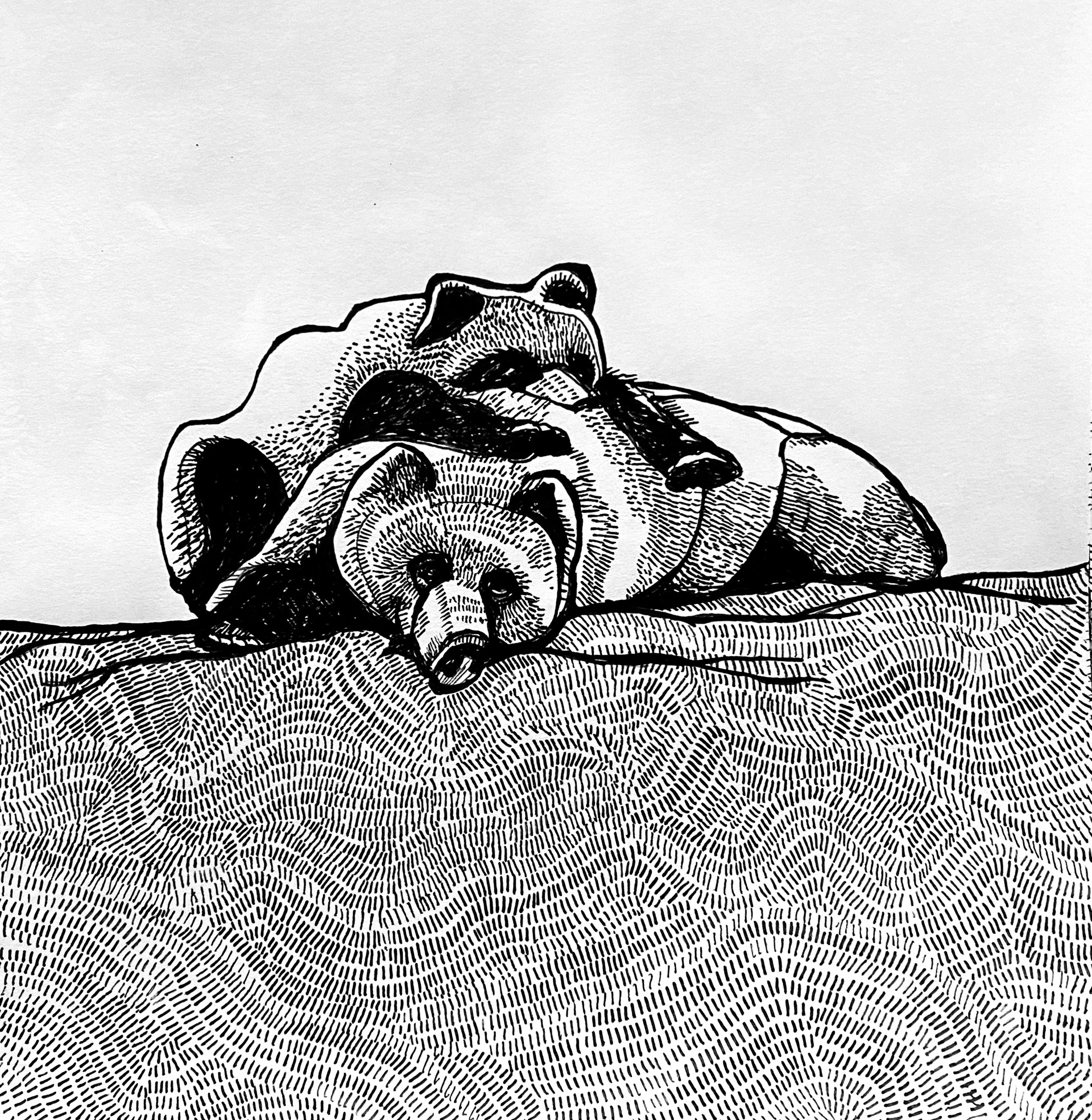 Bears