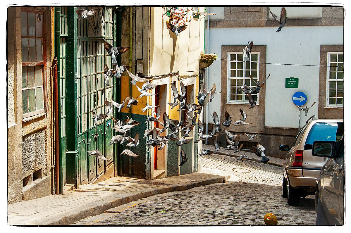 Porto, 2012