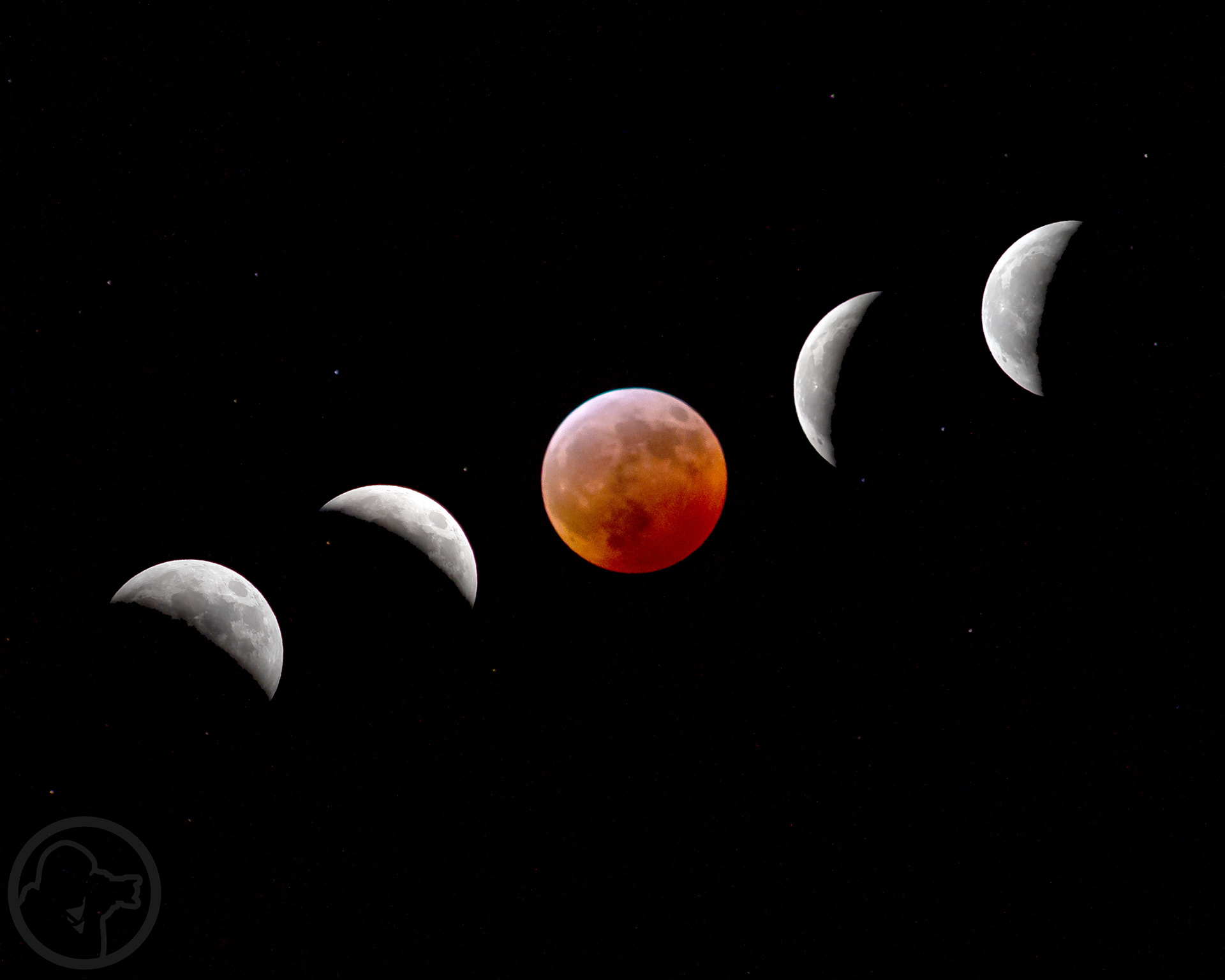 Lunar Eclipse Collage, Jan 20-21, 2019