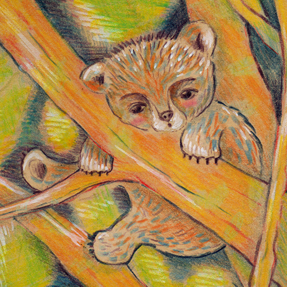 Illustrations - Arrorró