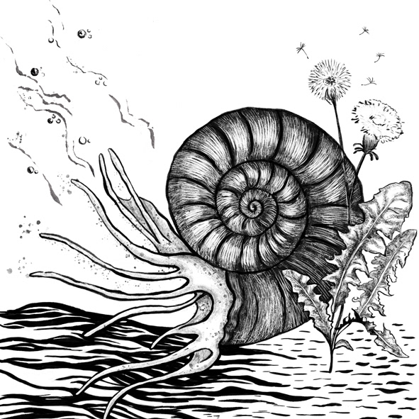 Comissions - Poetry